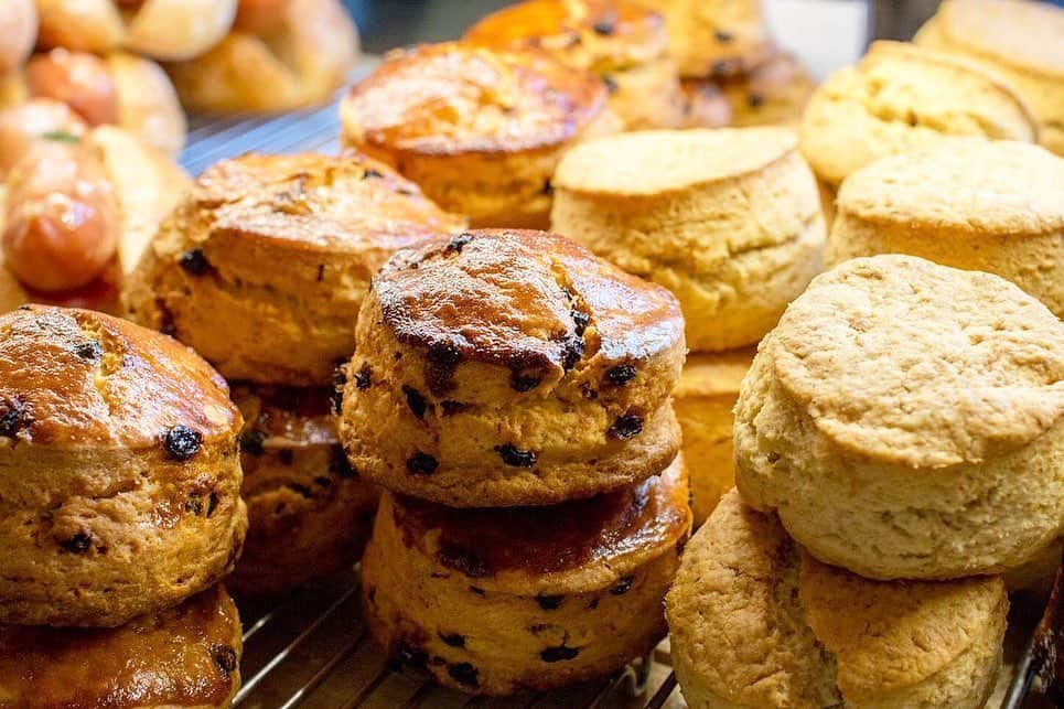 笹塚駅のパン屋さん オパンのグルメインスタ