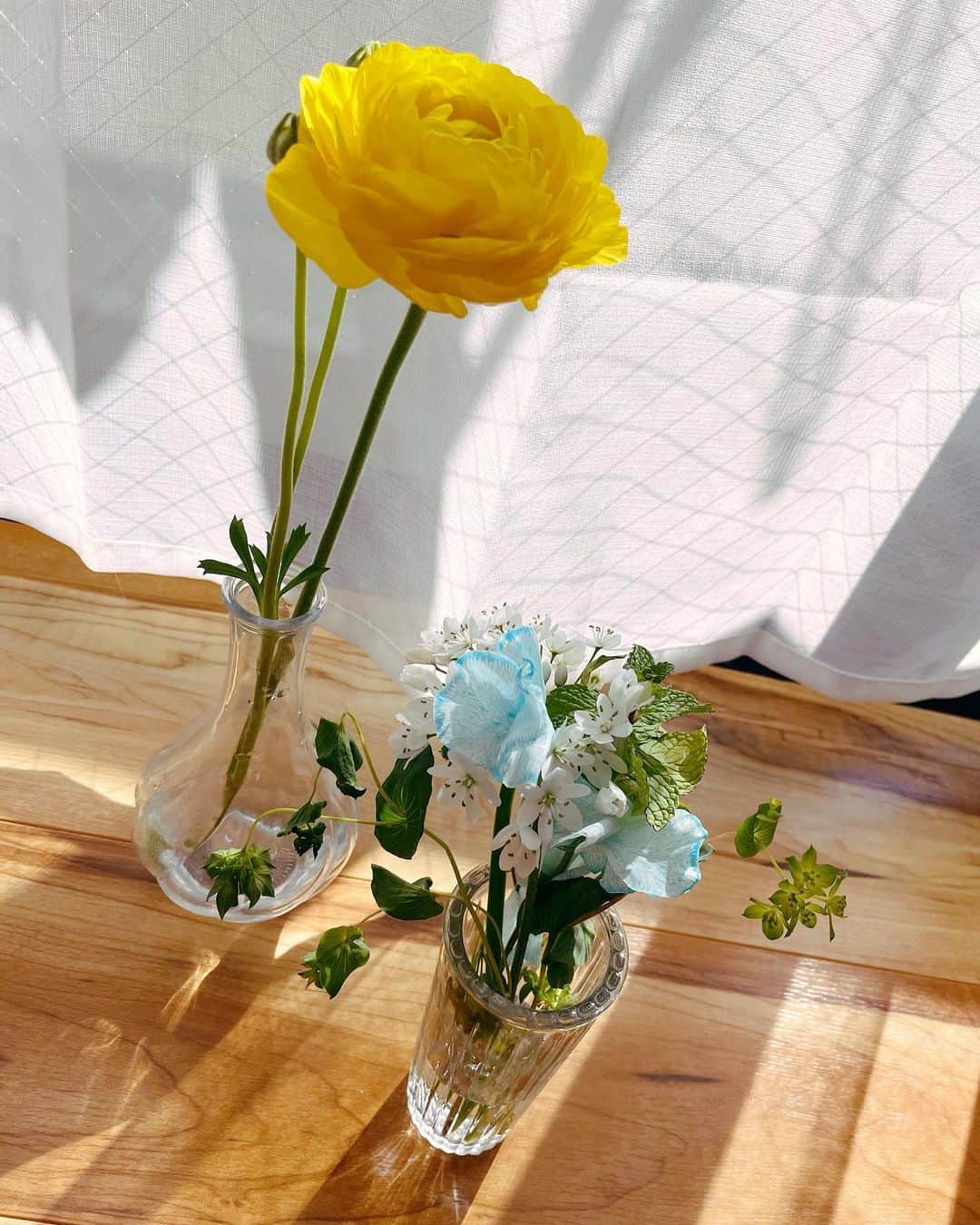 小此木まりさんのインスタグラム写真 - (小此木まりInstagram)「🌼  きゃわ。 今日はあたたかいネ。  #花 #お花 #花のある暮らし #黄色 #水色 #かわいい  #🌼」2月16日 10時16分 - mariokonogi