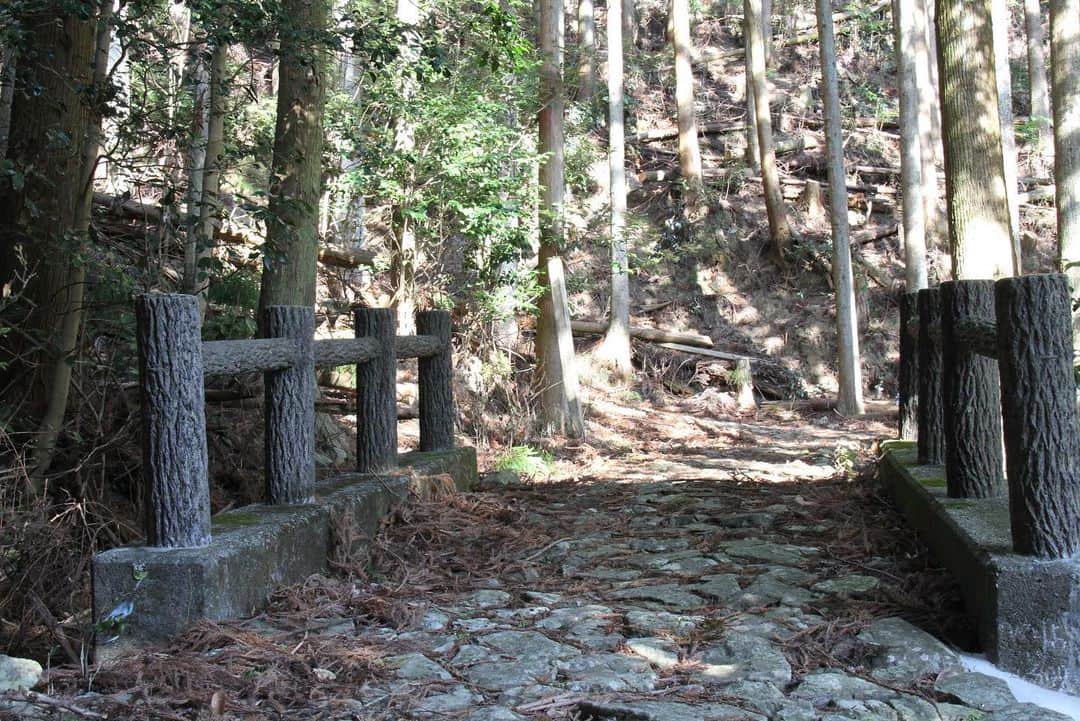 きいちゃんさんのインスタグラム写真 - (きいちゃんInstagram)「【きいちゃんが熊野古道を散歩してきました】 穏やかな気候の時は心も穏やかに。自然の中を散歩して癒されてみませんか。きいちゃんも日高町の熊野古道をぷらぷら散歩。石畳道を歩いて自然を堪能しました。  #きいちゃん #熊野古道 #日高町」2月16日 10時19分 - wakayamapref_pr