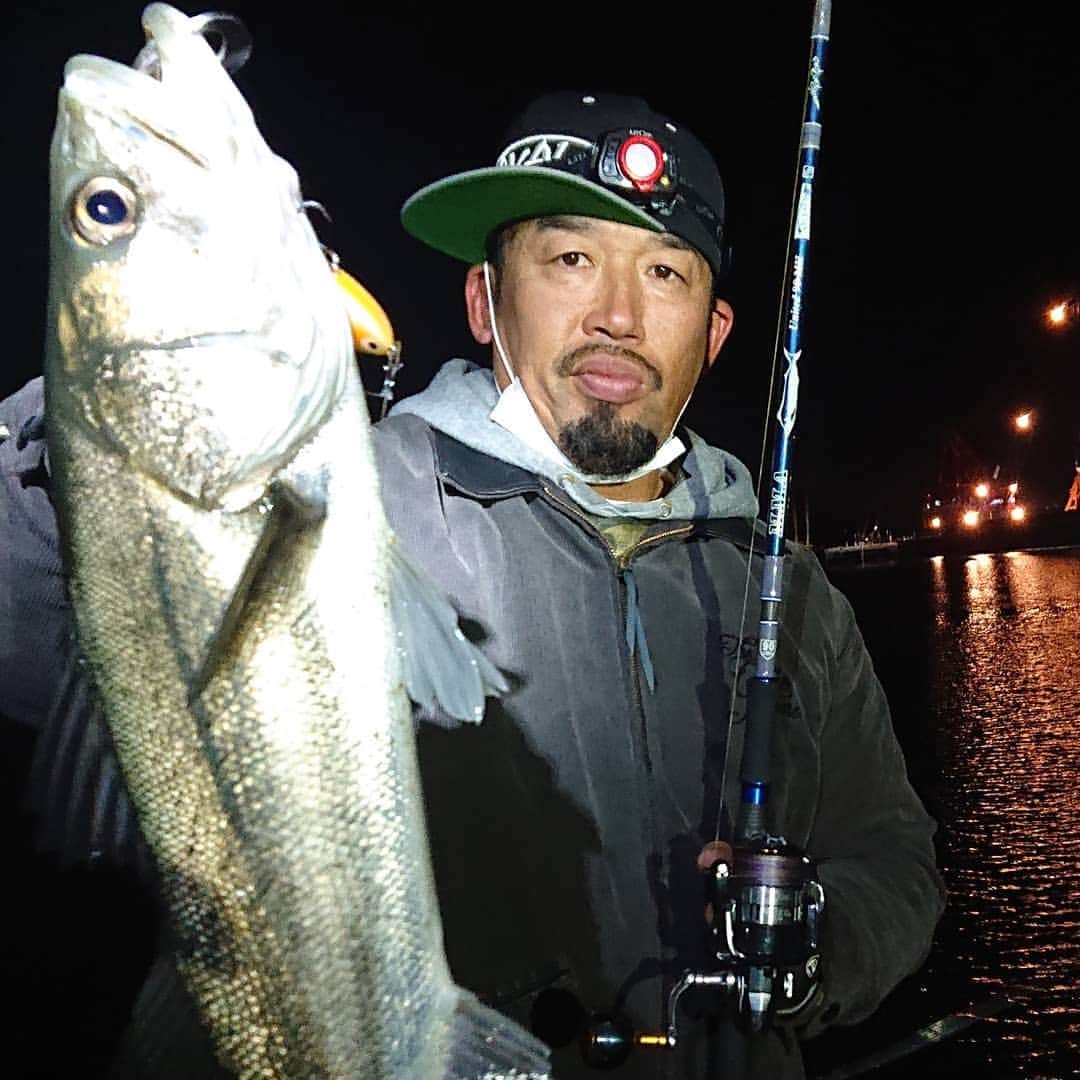 武蔵さんのインスタグラム写真 - (武蔵Instagram)「去年の12月、開発中のロッド(釣竿)の試しでシーバスがよく釣れた時の写真。  ヒラスズキも釣れました👍️  #武蔵 #釣り #fishing #fishingrod #tulalamma #seabass #シーバス」2月16日 15時48分 - musashi_k1karate