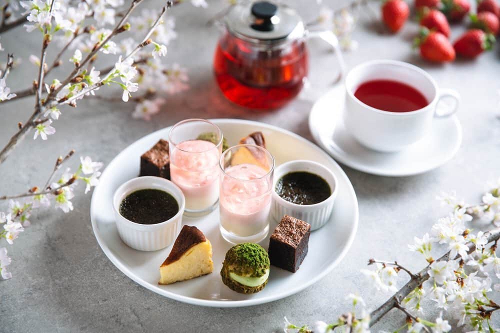 レガートのインスタグラム：「【Spring Afternoon Tea】  「華やかな桜と新緑の抹茶、 それはまるでお花見気分。」  ■中段ラインナップ ・抹茶のシュークリーム ・抹茶ブリュレ ・桜と苺のパンナコッタ ・ガトーショコラ ・チーズケーキ  ■紅茶・ソフトドリンク飲み放題込(2h) ■3480yen(税別) ■完全予約制(前日17:00迄) ■メッセージ入りチョコプレートの追加も可能です。お祝いのメッセージなどをお伝えください。  #アフタヌーンティー  #afternoontea  #渋谷アフタヌーンティー  #渋谷カフェ  #苺スイーツ  #桜スイーツ  #抹茶スイーツ」