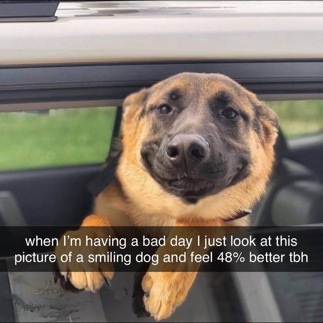 BarkBoxのインスタグラム：「I honestly do feel better tho! @heygirl63 ❤️」