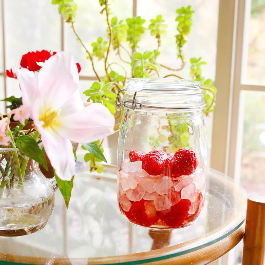 amiのインスタグラム：「．​ ​ Favorite strawberry vinegar​ ​ 我が家で最近、家族がハマっているのが​ いちごビネガー🍓♡​ ​ 必要なのは『氷砂糖』：『いちご』：​ 『リンゴ酢』だけでとっても簡単💓​ ​ 1：1：1の比率で混ぜるだけ❗️​ 準備も簡単で良く作ってます🍓​ ​ ​ これを、炭酸や、ヨーグルトに入れる​ のがお気に入り〜👏​ いろんなアレンジができるよ✨​ ​ 砂糖ではなく、氷砂糖を使うことで​ スッキリとした味わいになるんです♡​ それに、果実のエキスを引き出してくれるんだって❗️​ ​ 健康や美容のために、旬のフルーツを​ もっと食べたいなぁ♡という時にも​ 変わったフルーツの楽しみ方ができて⭕️​ ​ ​ とっても美味しくて簡単なので​ ぜひ作ってみてね💓​ ​ ​ #全日本氷糖工業組合 #氷砂糖 #いちご#いちごビネガー #氷砂糖のある暮らし#おうちカフェ  #おうち時間 #簡単レシピ #PR​ @zennihonhyoutou​」