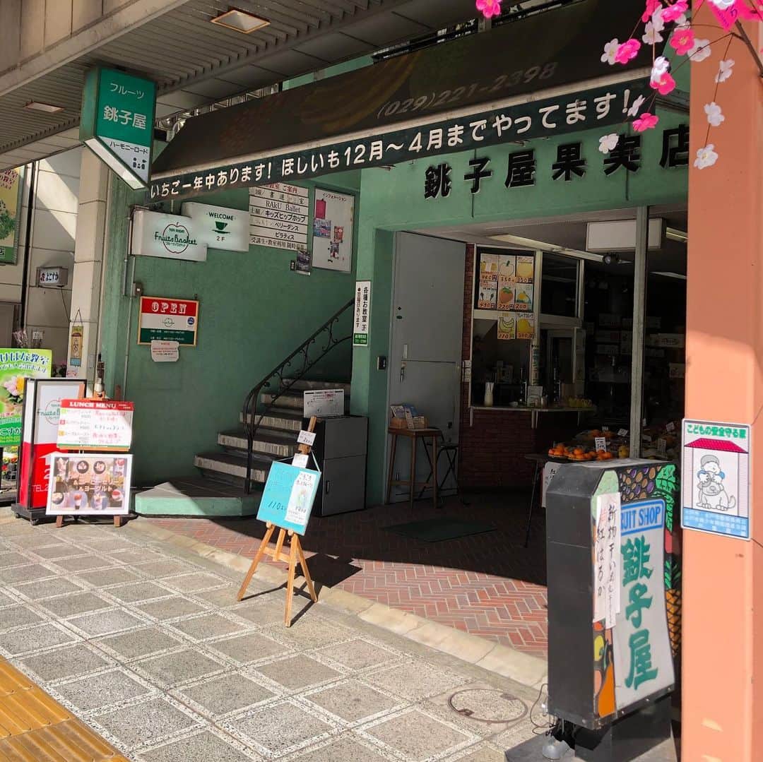能町みね子のインスタグラム：「#喫茶メモ 水戸 フルーツバスケット/ 果物の銚子屋さんの2階にあるフルーツパーラー。内装は80年代調でかわいい。パフェもたくさんの種類があります」