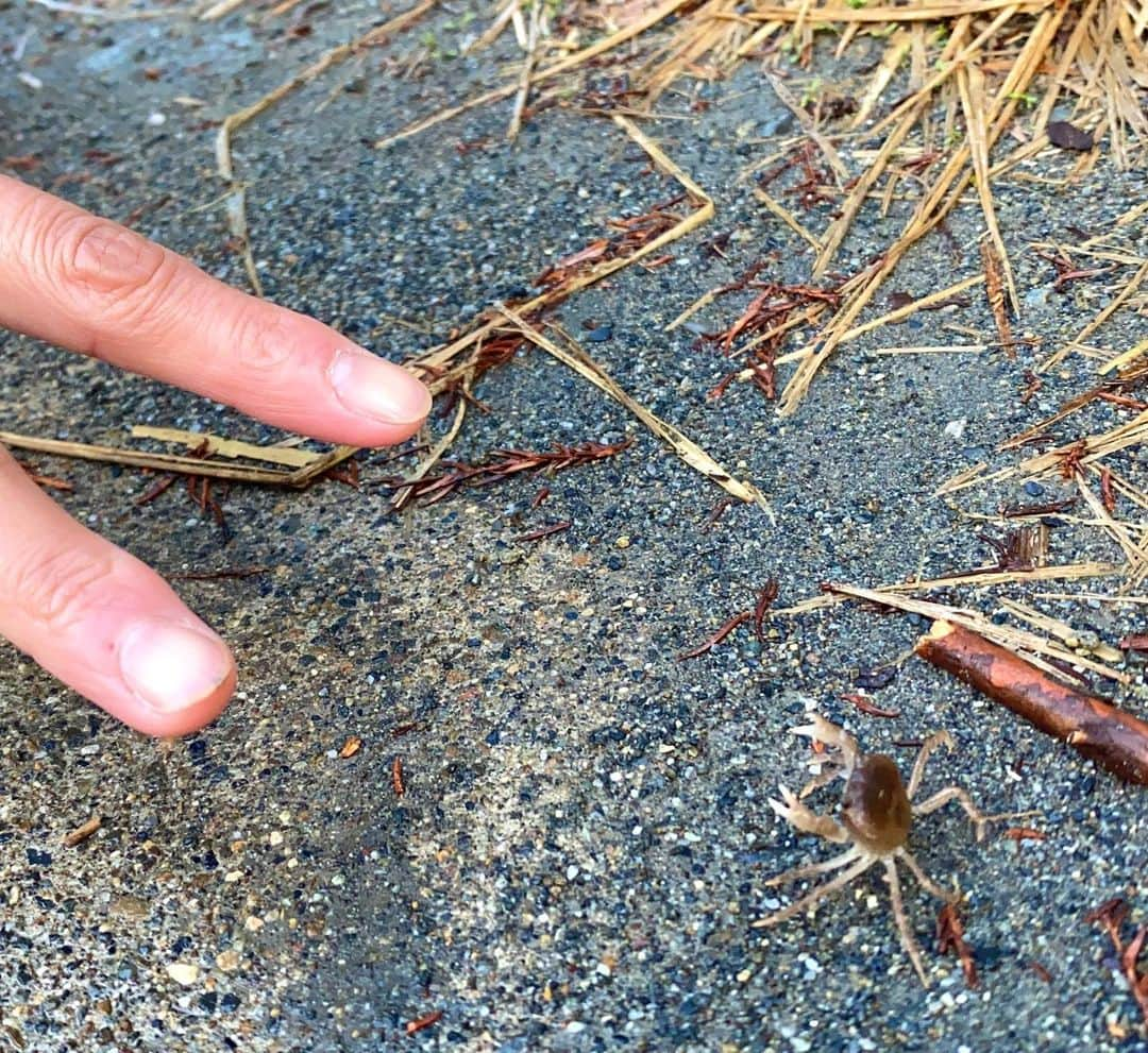 福島和可菜のインスタグラム