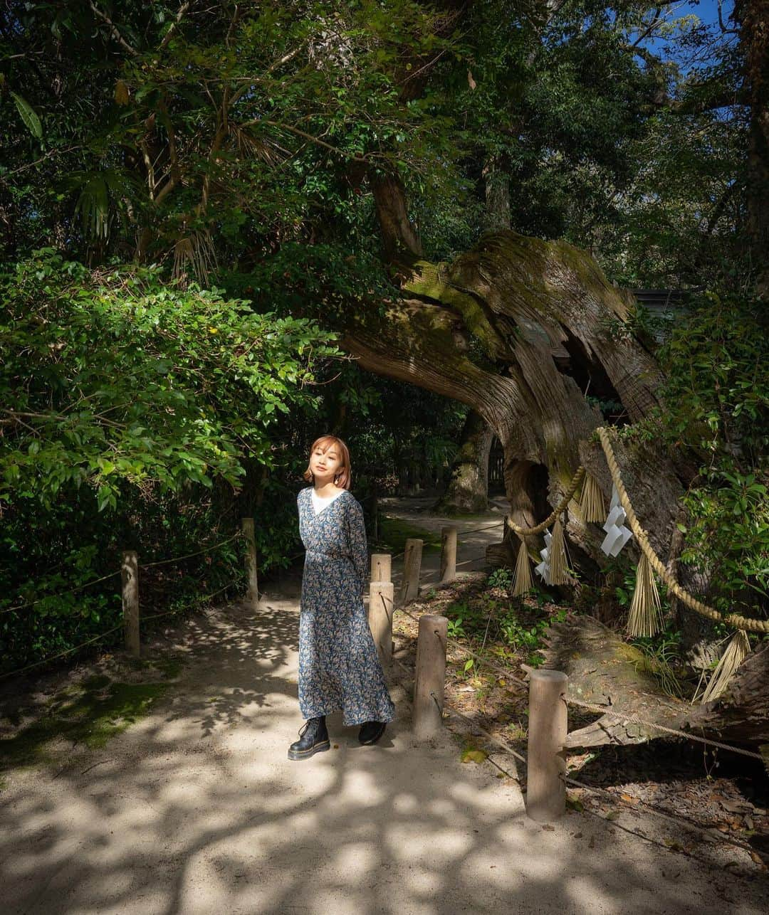 masayaさんのインスタグラム写真 - (masayaInstagram)「1. 2600 year-old  camphor tree Oomishimagu shrine 大山祇神社の樹齢2600年の楠 Imabari Ehime prefecture  愛媛県今治市 2. 3000 year-old The oldest camphor tree in Japan こちらは樹齢3000年日本最古の楠　パワーもらいました！ 3. Bary-san バリィさん見っけ famous the mascot character in Japan  #ONLINE瀬戸内しまたびTRIP #しまたび #クルーズ #PR」2月16日 11時58分 - moonlightice