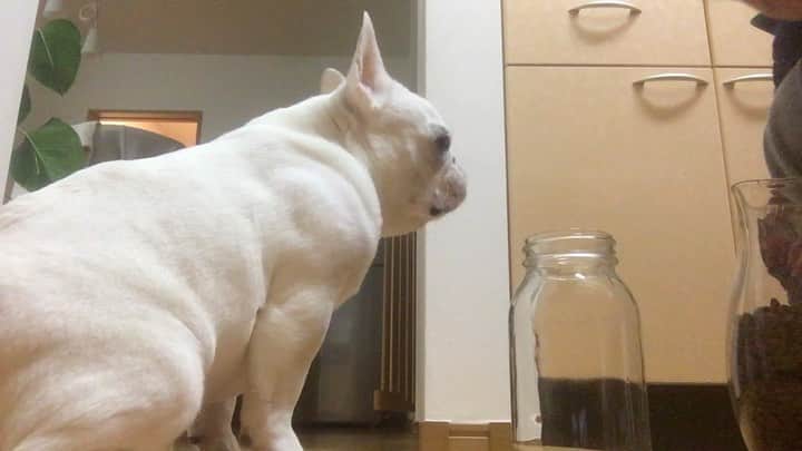 ちえぶぅたのインスタグラム：「前のめり兄さん。」