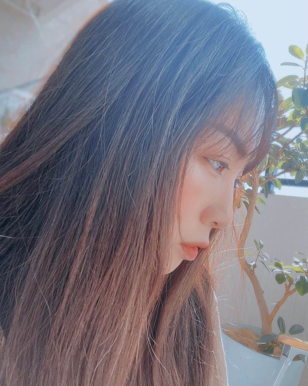 氷浦紫さんのインスタグラム写真 - (氷浦紫Instagram)「#portrait#sunnyday #Tokyo#Japanesemodel#longhair#brownhair #model#iaramodelagency #yukalihiula」2月16日 12時04分 - yukalihiula