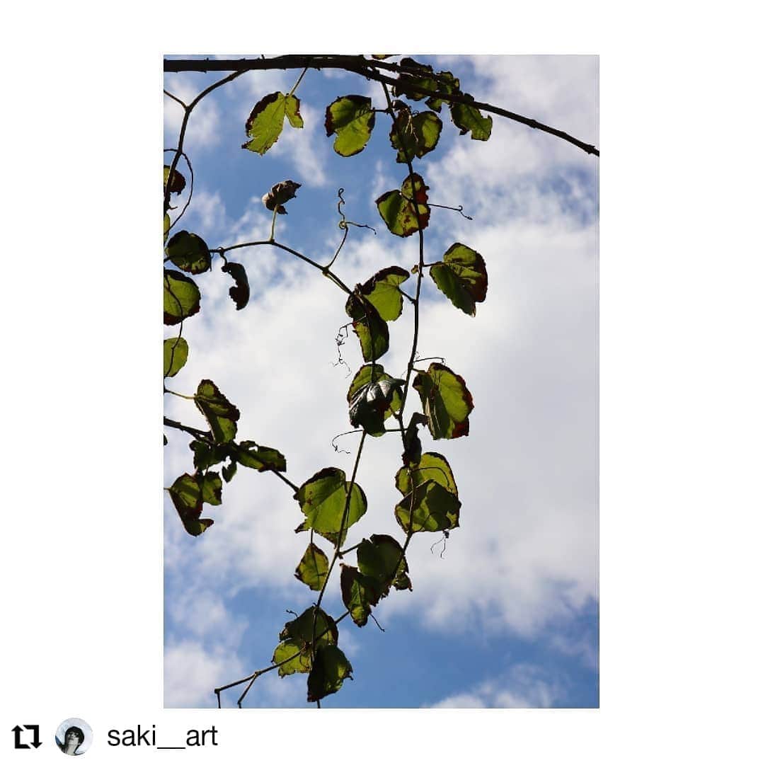 大塚咲のインスタグラム