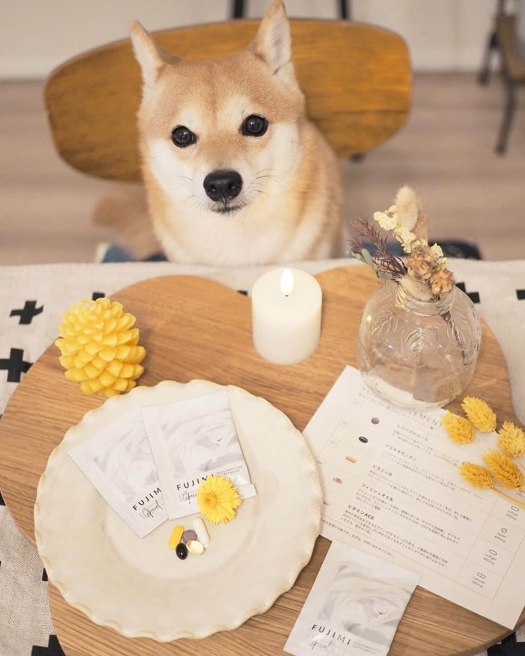 豆柴にこちゃんさんのインスタグラム写真 - (豆柴にこちゃんInstagram)「🐕 FUJIMIのパーソナライズサプリ、 これで3回目！ 長期的に続けてみてます💪  テレワーク生活で、冷凍食品とか 品数の少ないごはんばかり食べ続けること、 もうすぐ一年😱  でもこのサプリには体にも美容にもいい ビタミンやアマニ油、コエンザイム とかが入ってて栄養補助食的に飲めるから、 テレワークのお供に、 体にいいことしてる気分✨  @fujimi_official  #PR #FUJIMI #美容 #パーソナライズサプリ #パーソナライズマスク」2月16日 12時21分 - nikochan.mame48