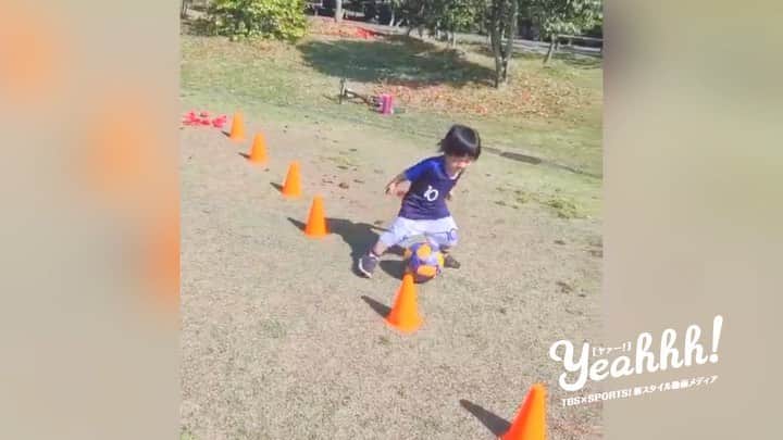 Yeahhh! スポーツのインスタグラム：「【夢すく】キュートなドリブルにくぎ付け！みるみる上達を魅せる小さなサッカー少年！！ ﻿  ﻿ 『大嶋凪（おおしま なぎ）』 ﻿ 保育園2歳児クラス ﻿  ﻿ TBS夢すくすくプロジェクト ﻿ ～Yeahhh！×S☆1コラボ「学校のヒーロー&ヒロイン」～ ﻿  ﻿ アナタの動画も大募集中！#ヒーローアンドヒロイン をつけTwitterかInstagramで投稿しよう！ ﻿ https://www.tbs.co.jp/Yeahhhsports/project/ ﻿ #TBS #Yeahhh #S1 #夢すく #サッカー #soccer #football #ドリブル #大嶋凪 #キッズ #kids #sports #投稿動画」