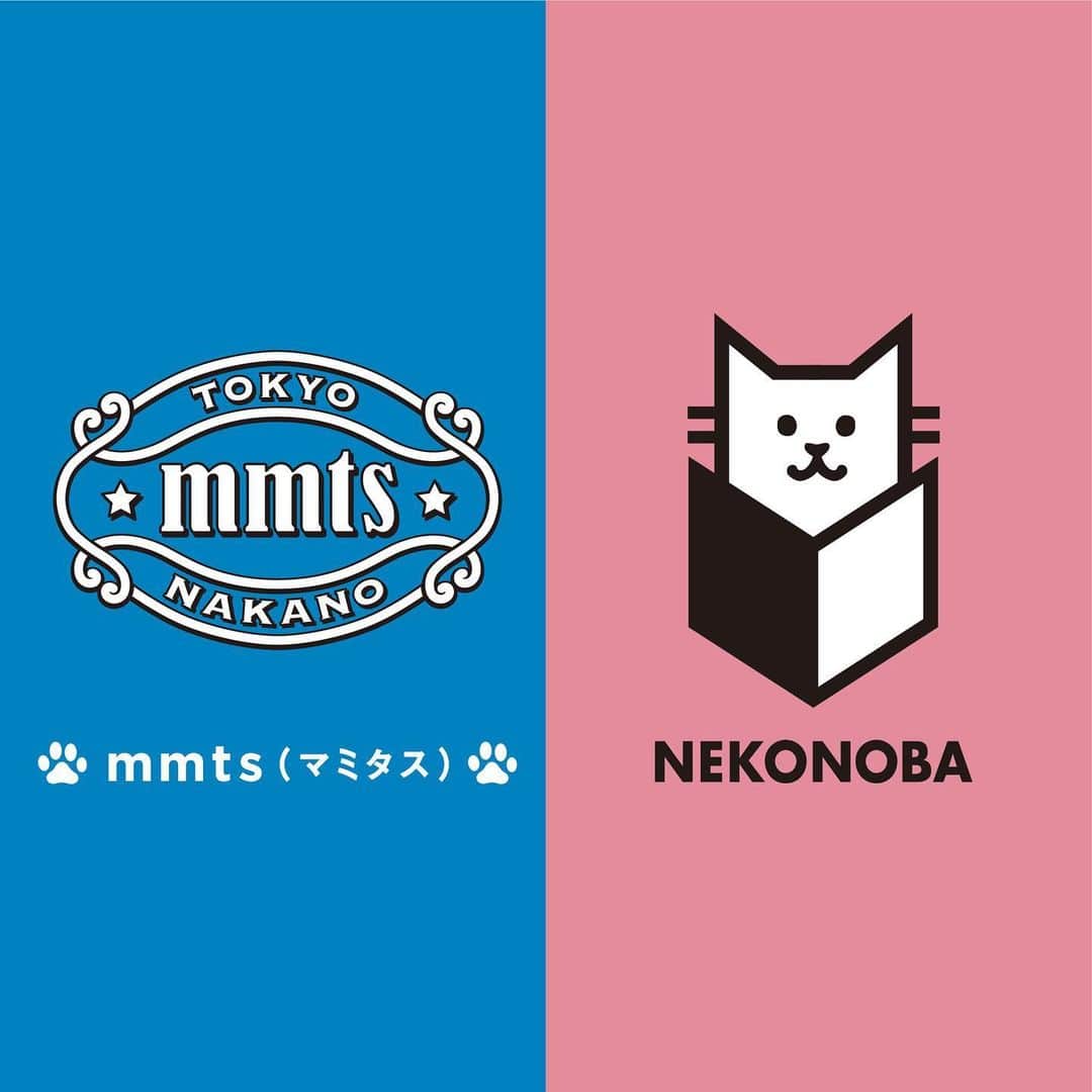 ねこのインスタグラム
