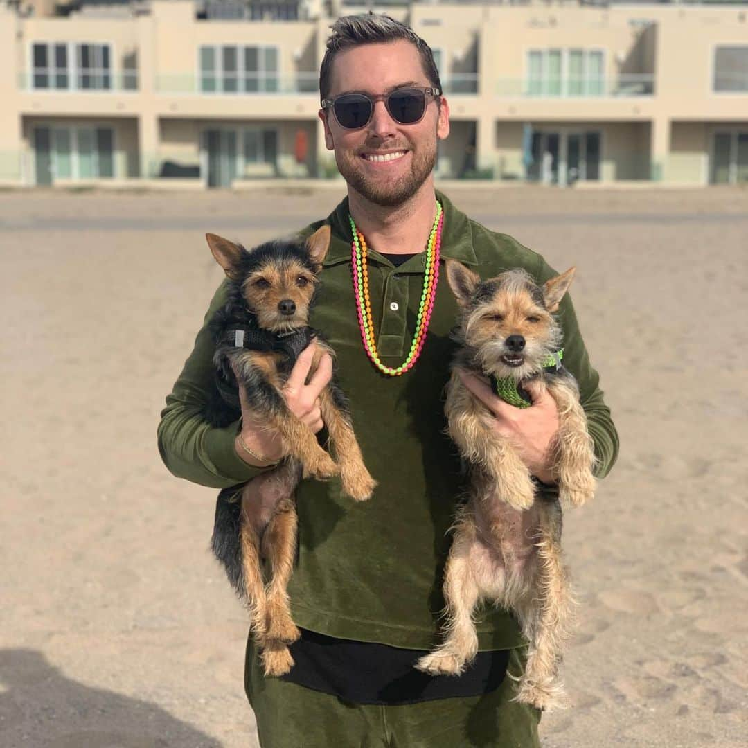 ランス・バスさんのインスタグラム写真 - (ランス・バスInstagram)「Beach day with the pups for a very special birthday! Happy birthday @stacy4yourfacey!!! ❤️❤️❤️❤️❤️❤️❤️❤️❤️ #DogsOfInstagram」2月16日 12時52分 - lancebass