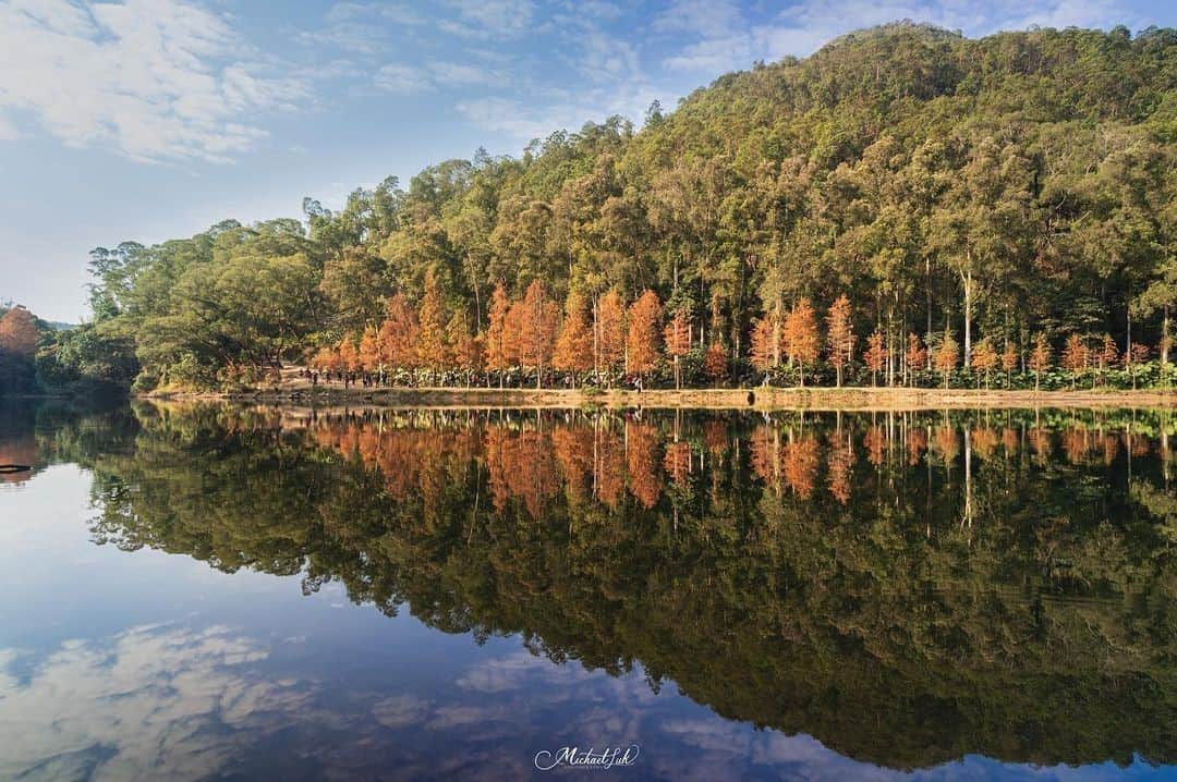 Discover Hong Kongのインスタグラム：「Do you know where this scenic reservoir with colourful foliage is?  大家知唔知呢個咁靚嘅地方喺邊度呢﹖  📷: @mickl_photography.14 #DiscoverHongKong #repost」