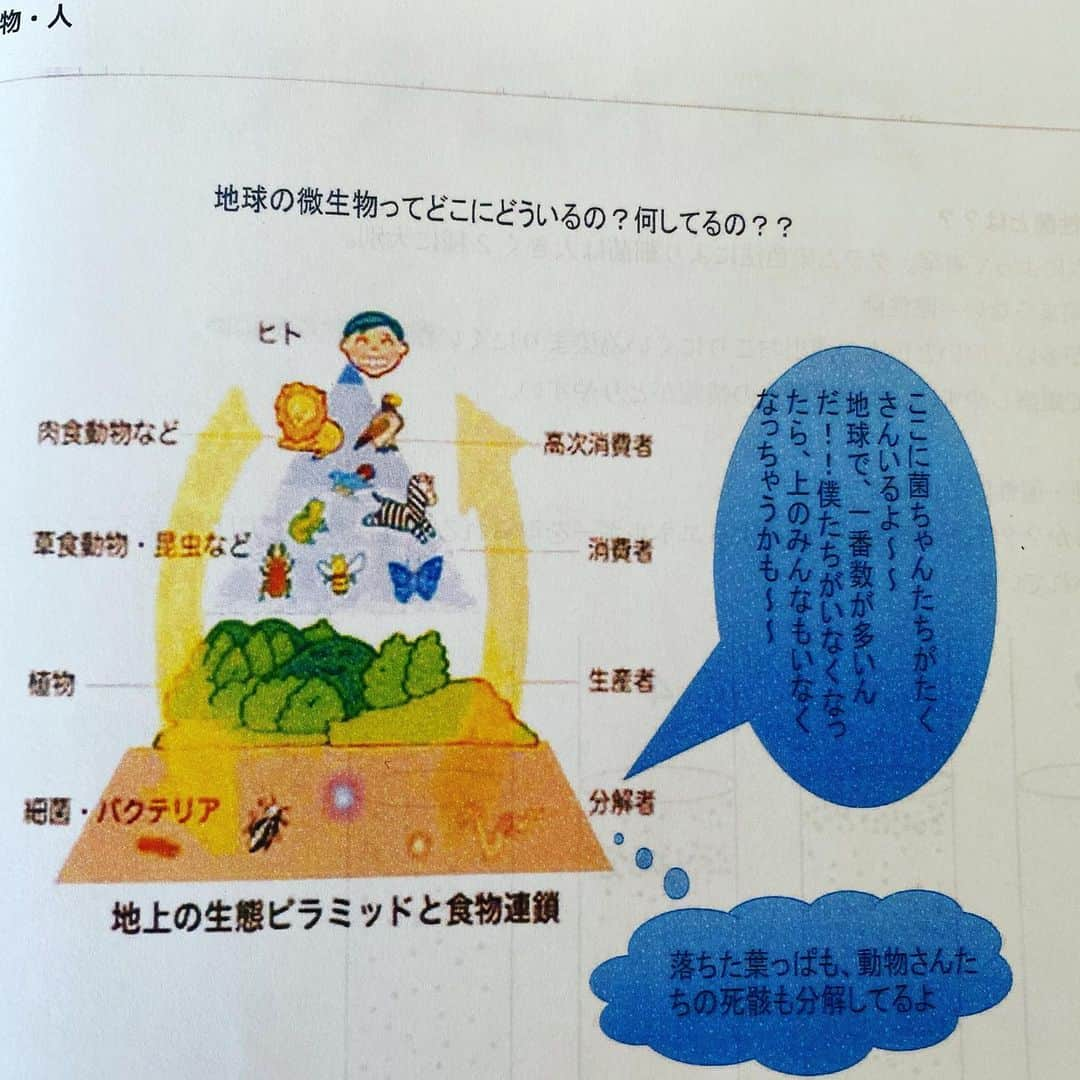 岡本聖子のインスタグラム：「今日も微生物🦠のお勉強。  #腸内細菌 #食べたものを消化しているのは微生物 #発酵食品 #ファスティング #菌検査 #育菌 #育菌コスメ #免疫力 #除菌より育菌 怖いのは#薬剤耐性菌 #微生物酵素 #メタトロン #共生共存」