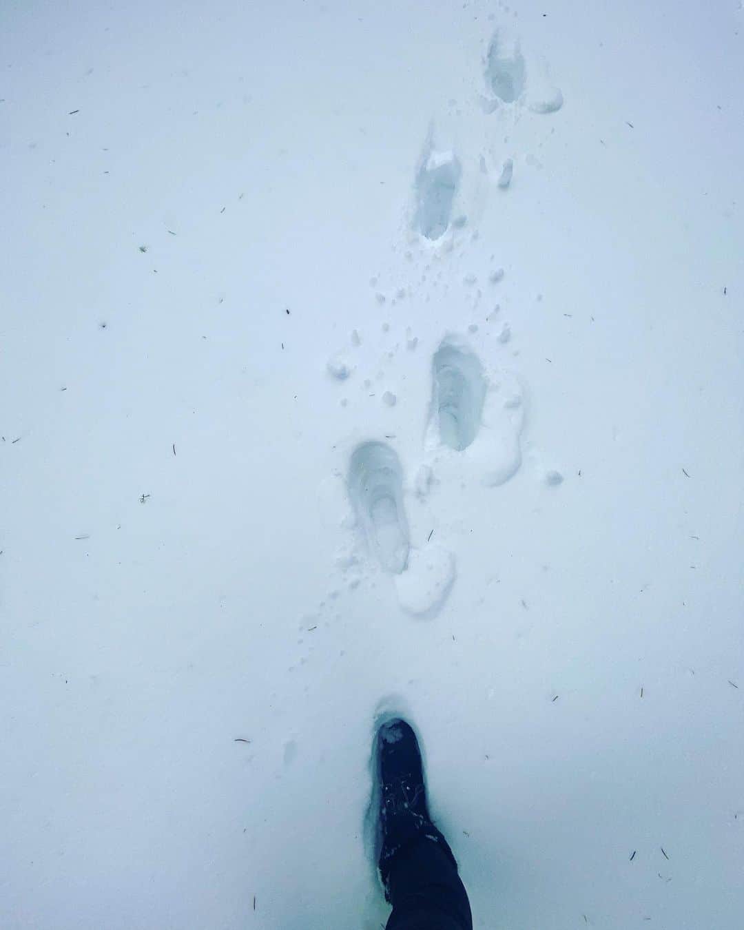 ティファニー・ティーセンのインスタグラム：「Take the path less traveled #mondaymotivation」