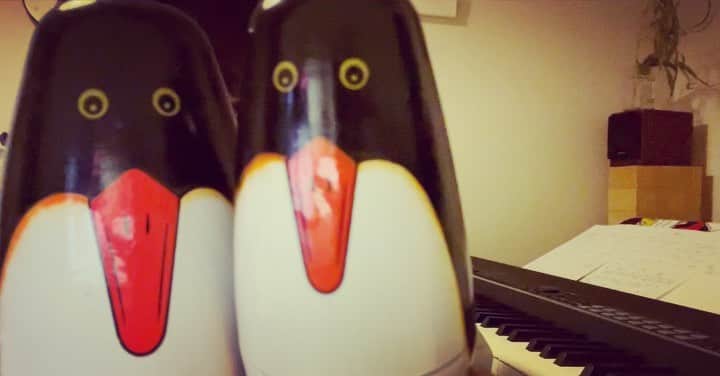 のインスタグラム：「喋るペンギン🐧より  詳しくは熊木杏里home pageへ。 Instagramのプロフィールからも 行けます。  よろしくお願いします。 ３月12日。 @nihonbashi.mitsui.hall  日本橋三井ホールさんにてライブです。  配信は #ZAIKO」