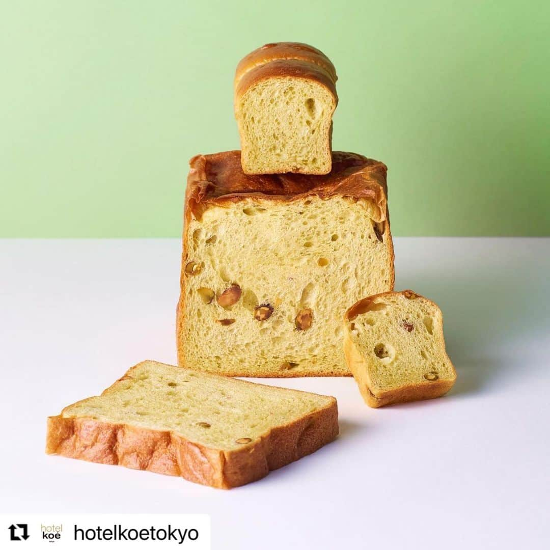 コエさんのインスタグラム写真 - (コエInstagram)「#Repost @hotelkoetokyo with @make_repost ・・・ ・ ＼hotel koe bakery ピスタチオパン本日より販売スタート／ ・  hotel koe bakery より新作パンの登場です。 贅沢にピスタチオを使用したパンを２月１５日～期間限定で発売いたします。  生地にピスタチオペーストとローストしたピスタチオを練り込んだピスタチオづくしの< ピスタチオ食パン 〜 グリーンの霹靂 〜 　￥８２０+tax>は、  北海道産のマスカルポーネと生クリームを一緒に練り込み、コクがありながら、しっとりもっちりした食感に仕上げました。ピスタチオの風味を生かす為 甘味には、はちみつを使用。 更に、天然酵母ルヴァンを使用し、なるべくイーストを使用せず生地を柔らかくしながら、酸味をプラスする事でミルキーすぎない、ピスタチオの味わいを引き立たせるように設計、、と、  ピスタチオの風味を存分に楽しみながら、食パンとしてのくちどけの良さにもこだわった、今回もシェフのこだわりが詰まった一品に仕上がっています。  バターを塗ってトーストしてシンプルに、甘味系・塩味系の食材をサンドしてオリジナルサンドにしても美味しくお召し上がりいただけます。  また、ミニサイズの　ミニピスタチオ食パン　～緑と白のエクスタシー～　 ￥３５０+tax 　は、ホワイトチョコを練り込み、おやつ感覚で食べられる食パンに仕上げました。 その他、ピスタチオを使用した菓子・塩味パンが登場！ まさに＜グリーンの霹靂＞、ぜひお試しください。   ※焼き上がり時間は、パンの種類によりことなります。  ・ 🍴koe lobby (hotel koe tokyo 1F)🍴 ○morning    week day : 7:30~12:00(l.o.11:30)  holiday : 7:30~11:00(l.o.10:30) ○lunch    week day : 12:00〜15:00 (l.o.14:30)  holiday : 11:00〜15:00 (l.o.14:30) ○tea time〜:15:00〜20:00(l.o.19:30)  ＊現在、新型コロナウイルス感染拡大防止の為、営業時間を縮小して営業しております。 ＊平日18:00以降はドリンクとパンのみの提供 ・ 〒150-0042 東京都渋谷区宇田川町３−７ tel.03-6712-7257 ・ #koe#koelobby#hotelkoe#tokyo#shibuya、#shibuyacafe#japan#bread#lunch#morning #일본 #시부야 #아침 #コエ #コエロビー #ホテルコエ#モーニング#渋谷 #渋谷カフェ#hotelkoebakery#ホテルコエベーカリー#フィナンシェ食パン#🍞#ピスタチオ#ピスタチオ食パン#ピスタチオスイーツ」2月16日 13時42分 - koe_official