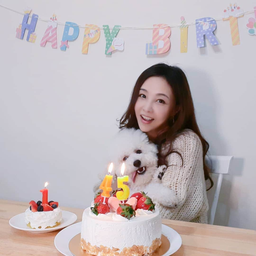 インリンさんのインスタグラム写真 - (インリンInstagram)「45歳になりました🎂我が家の愛犬ルークスと同じ誕生日♪ルークスは1歳になりました🎉初めてワンちゃん用ケーキを作ったら美味しそうに食べてくれました🎉  #インリン #垠凌 #yinling #誕生日 #台湾 #台北　#45歳 #犬用ケーキ #手作り #ブルーベリー#ストロベリー#blueberry #strawberry#yogurt#sweetpotato」2月16日 13時38分 - yinling_official