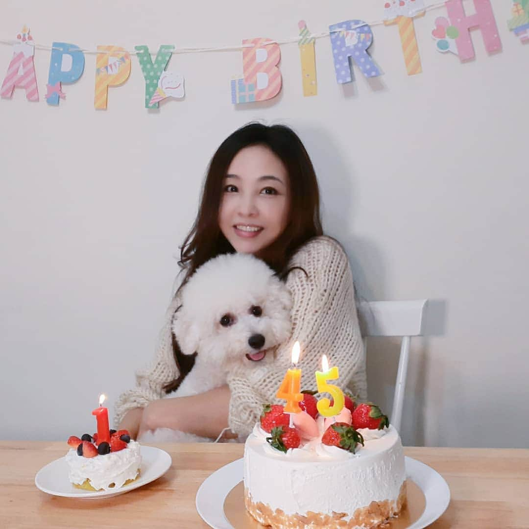 インリンさんのインスタグラム写真 - (インリンInstagram)「45歳になりました🎂我が家の愛犬ルークスと同じ誕生日♪ルークスは1歳になりました🎉初めてワンちゃん用ケーキを作ったら美味しそうに食べてくれました🎉  #インリン #垠凌 #yinling #誕生日 #台湾 #台北　#45歳 #犬用ケーキ #手作り #ブルーベリー#ストロベリー#blueberry #strawberry#yogurt#sweetpotato」2月16日 13時38分 - yinling_official