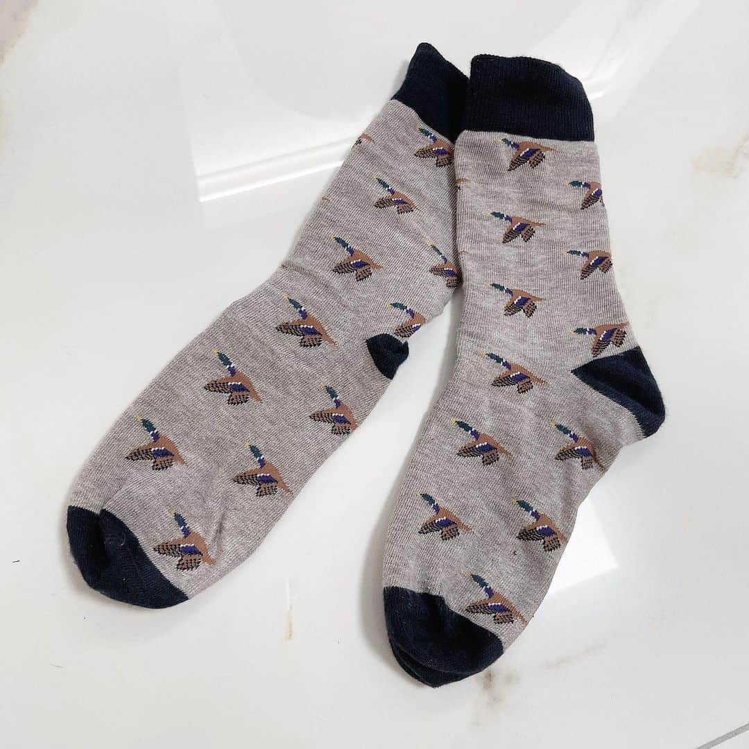 sarimaru(国木田さりまる)のインスタグラム：「最近購入した可愛い鴨ソックス🦆🧦」