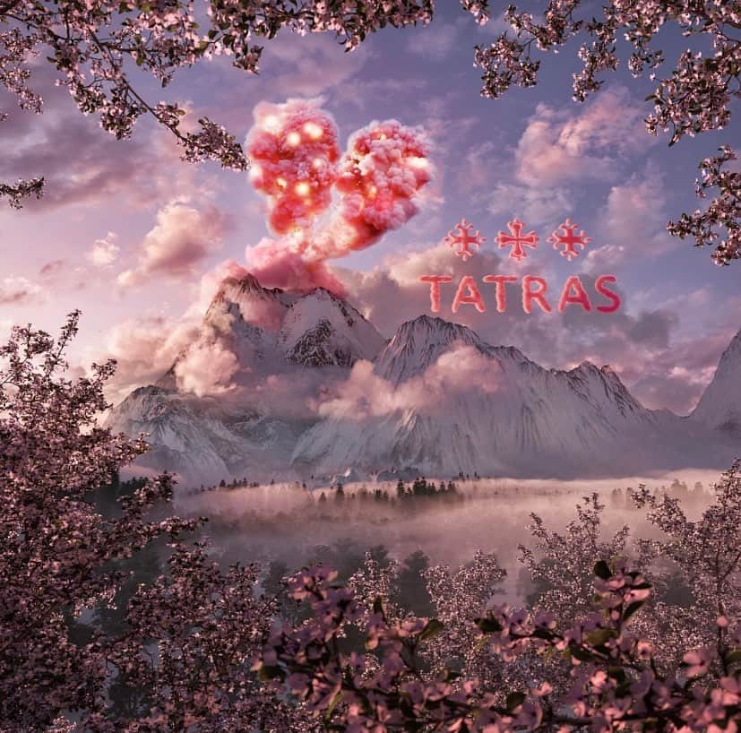 タトラスのインスタグラム：「Explosion of love.   TATRAS wish you all had a happy Valentine’s Day❤️」