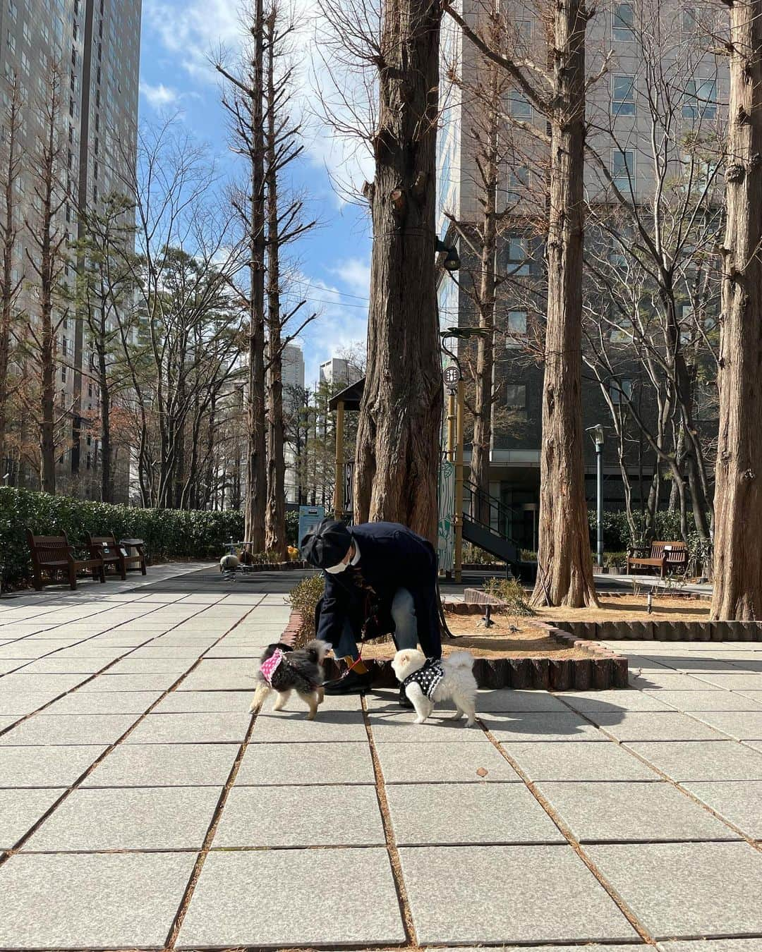 イェソンさんのインスタグラム写真 - (イェソンInstagram)「어제 함께하길 잘했다 🐻‍❄️🐻」2月16日 13時55分 - yesung1106