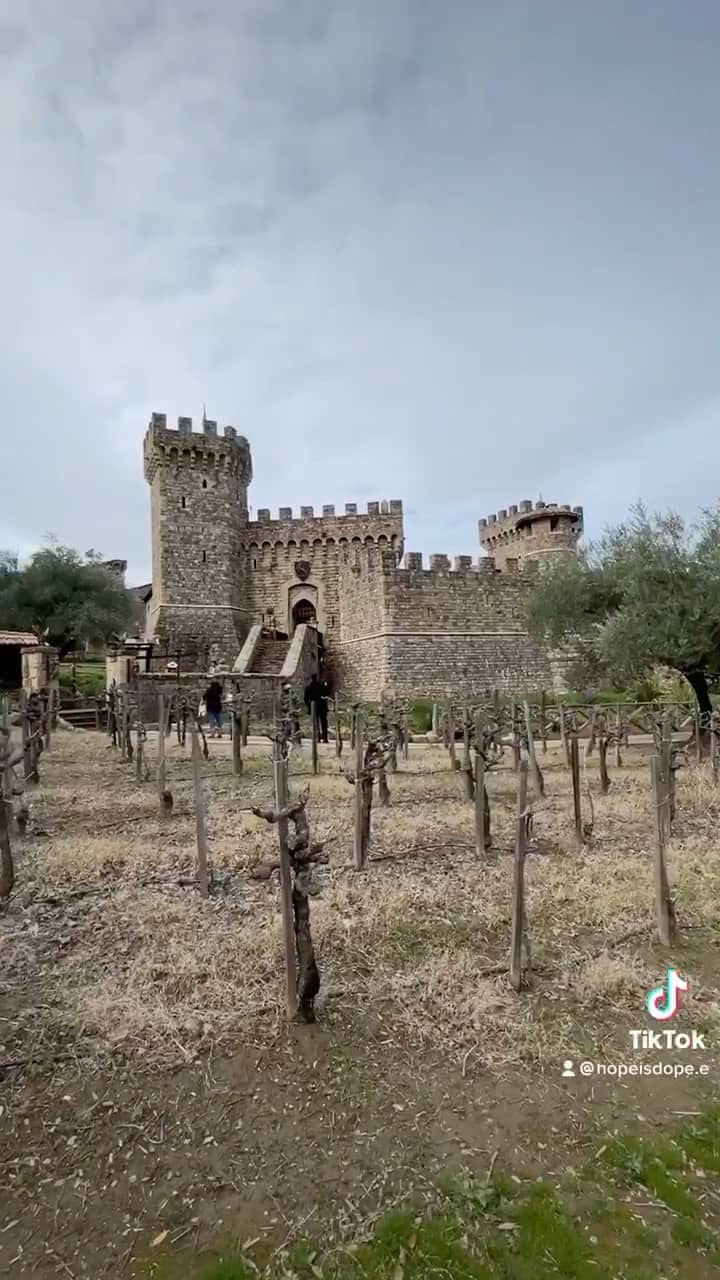 のインスタグラム：「Couple goals 😩 tag someone you would take to a castle to go wine tasting 😍 ft @hopeisdopee & @brggsy  🏰 Castello di Amorosa   #valentines #couplegoals」