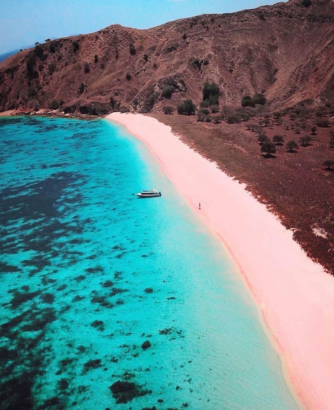 Earth Picsさんのインスタグラム写真 - (Earth PicsInstagram)「Pink Beach of the Komodo Island, Indonesia. 😍 by @hendrickhartono」2月17日 1時01分 - earthpix