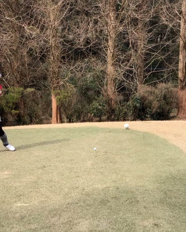 川原由維のグルメインスタ