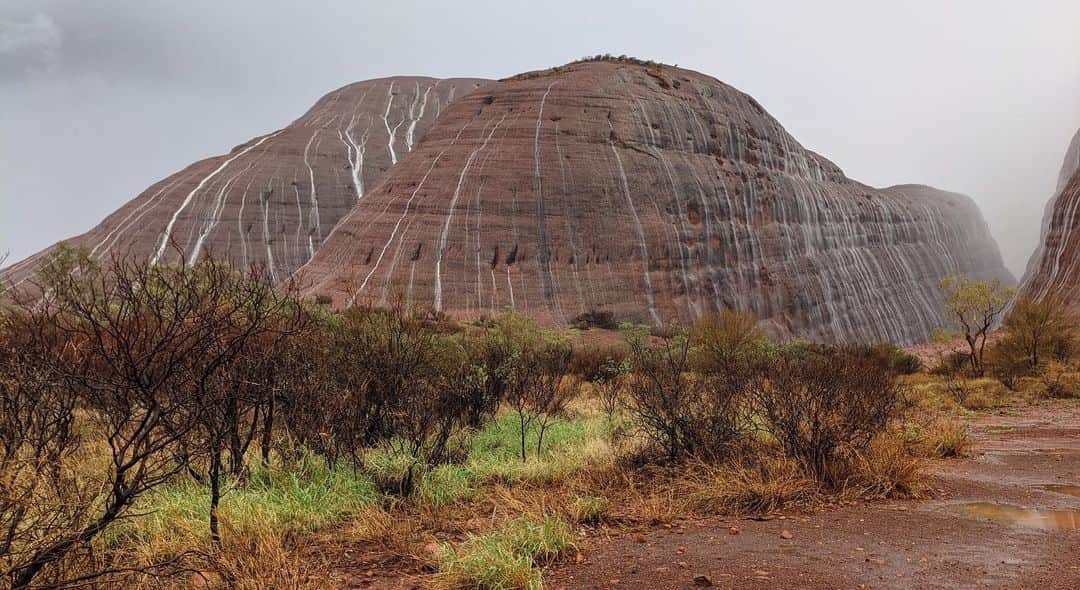 ヒュー・ジャックマンさんのインスタグラム写真 - (ヒュー・ジャックマンInstagram)「After the rain. Photos by Peter Wilson. #Uluru」2月16日 23時56分 - thehughjackman