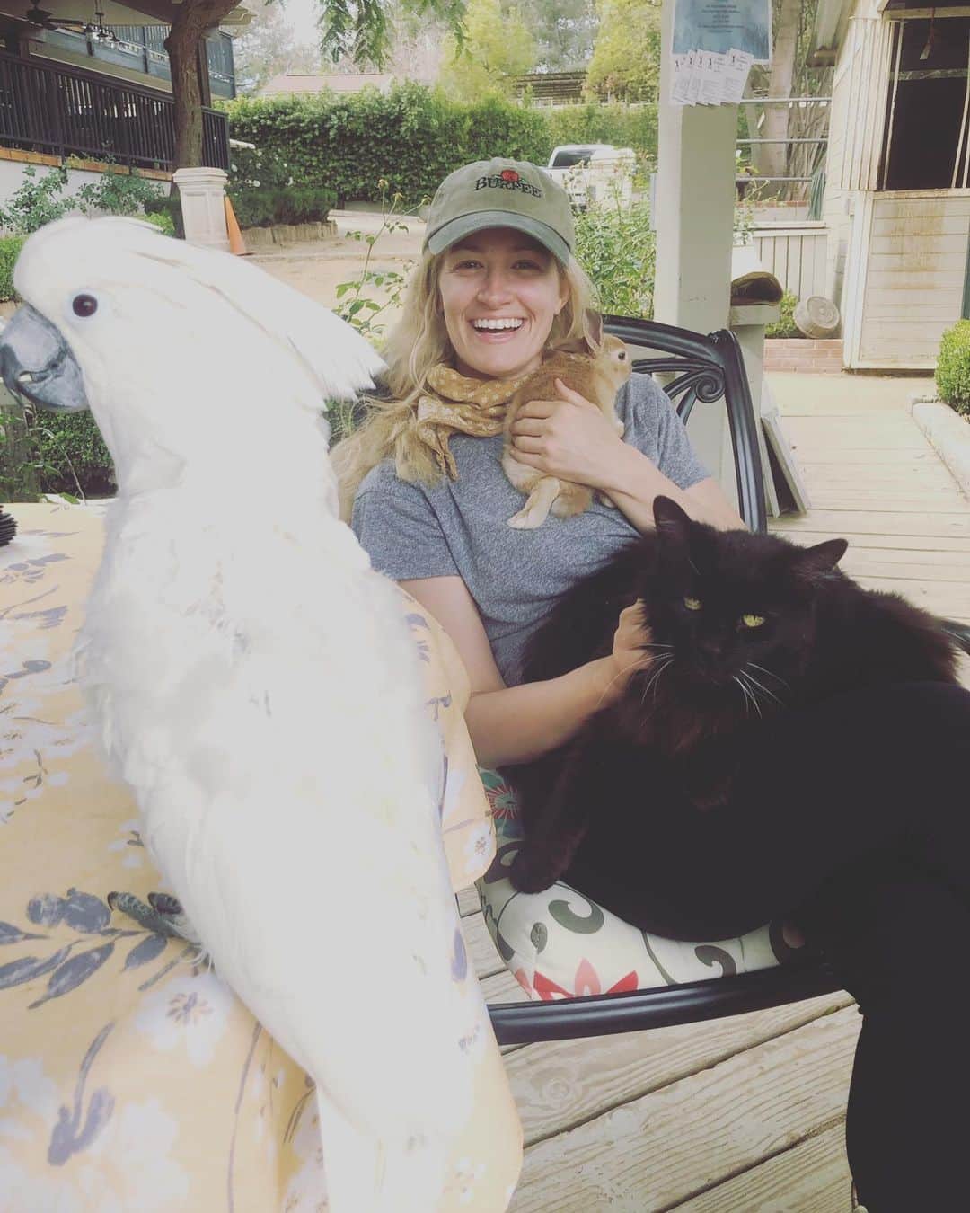 ベス・ベアーズのインスタグラム：「Mrs. Doolittle. Madly in love with Gaston the bunny. And pretty much every animal ever. I think I need to rescue bunnies? Can someone convince my hubby?  🎥: @artsy_animal_gal」