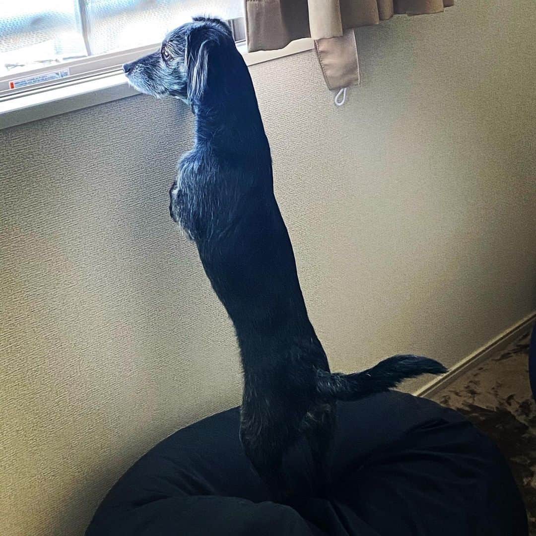 知床漁場 吹田店のグルメインスタ