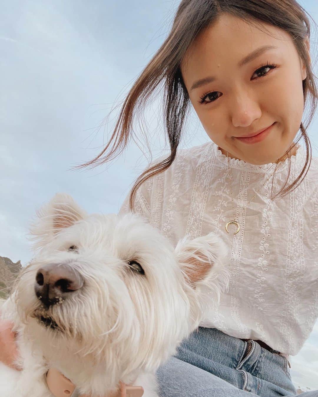 W E Y L I Eさんのインスタグラム写真 - (W E Y L I EInstagram)「Adding dog walker to my resume 😂 People often ask if I’m a dog walker/sitter when I’m out with all of my girls 🐕 They had so much fun today it was the cutest thing. Look at wittle Navs in the 3rd photo! 😂 Ended the day watching the sunset and got very emotional at the thought of Money turning 16 this year 🥺 I blame my period for making me cry over everything! Thank you @wah.wuu for dealing with my monthly meltdowns 😂」2月16日 16時06分 - weylie
