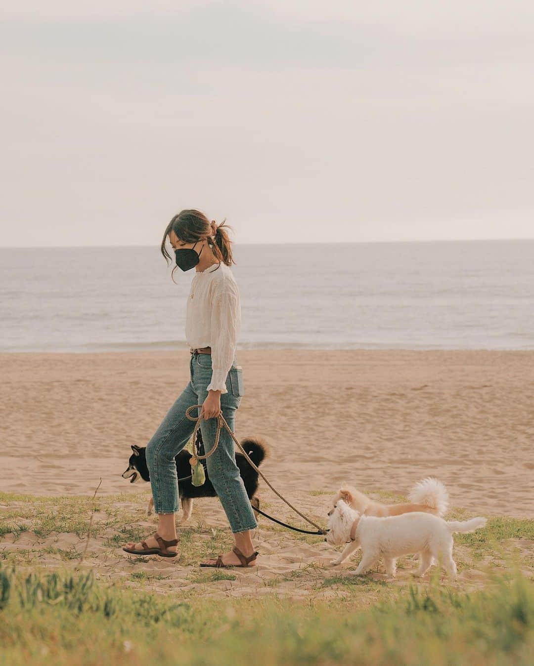 W E Y L I Eのインスタグラム：「Adding dog walker to my resume 😂 People often ask if I’m a dog walker/sitter when I’m out with all of my girls 🐕 They had so much fun today it was the cutest thing. Look at wittle Navs in the 3rd photo! 😂 Ended the day watching the sunset and got very emotional at the thought of Money turning 16 this year 🥺 I blame my period for making me cry over everything! Thank you @wah.wuu for dealing with my monthly meltdowns 😂」