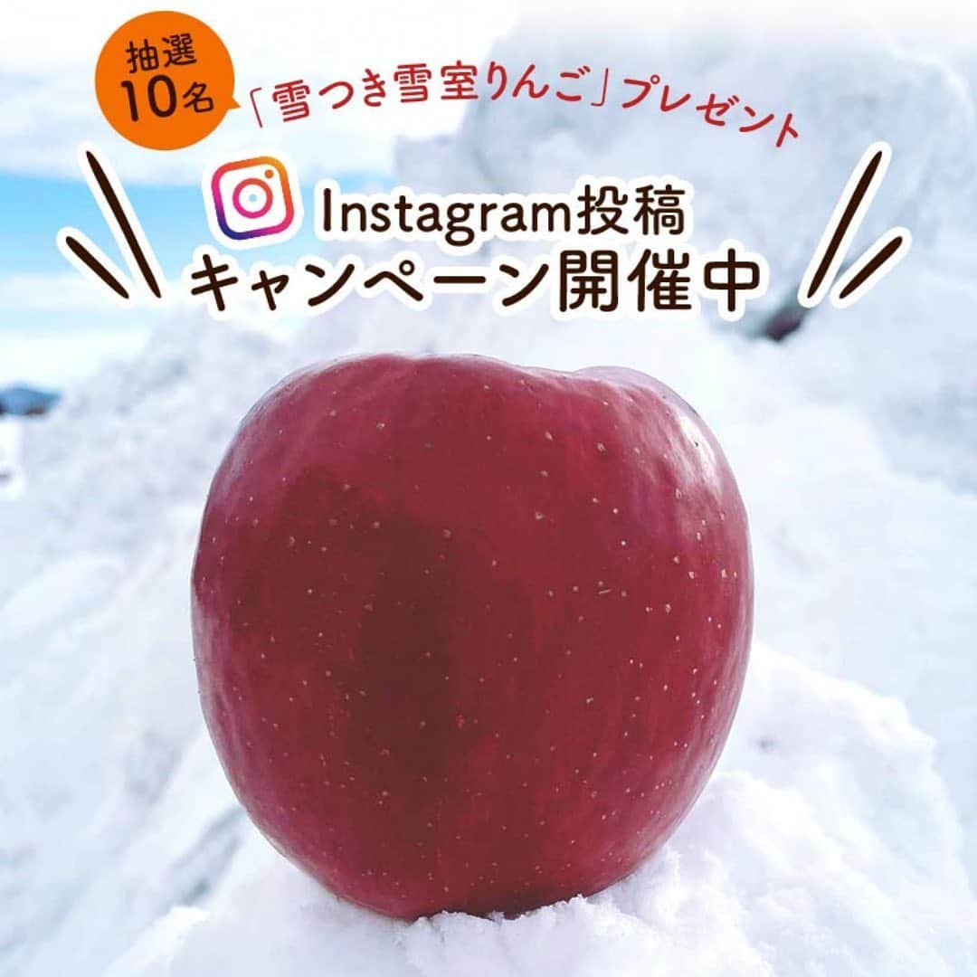 らでぃっしゅぼーやのインスタグラム：「＼「雪つき雪室りんご」が当たる！キャンペーン実施中／ キャンペーンにご参加いただいた方のなかから抽選で１０名様に、雪とりんごを一緒にお届けする「雪つき雪室りんご」をプレゼントいたします！ なんと、本当にりんごの産地青森県に積もった「雪」も一緒にお届けします！ 雪でひんやり冷えたおいしいりんごを味わって、手のひらサイズのかわいい雪だるまを作ってみませんか？  この企画は、らでぃっしゅぼーやでもお馴染みの産地、青森県の津軽産直組合さんの素敵な心意気からスタートしました。  次回投稿では、生産者さんからのメッセージをご紹介します。 雪だるま作ろ～う♫ たくさんのご参加お待ちしています！  ＜参加方法＞ ・下記期間中、らでぃっしゅぼーや Instagram公式アカウント （@radishboya1988）をフォローしている方（らでぃっしゅぼーや会員様以外もご参加いただけます）  ・以下２つのハッシュタグをつけて「お好きな野菜、果物、料理」に関して投稿していただいた方 #らでぃっしゅぼーや　#雪室りんごキャンペーン  ＜募集期間＞　⁣2021年2月15日(月)～3月3日(水）  ＜賞品＞⁣　らでぃっしゅぼーや雪室りんご（ふじ）（6個+雪）  ＜当選者数＞⁣　⁣10名様⁣  ＜当選者様へのご連絡＞⁣⁣ 当選者の⽅には2021年3⽉8⽇(月)頃に Instagram上のDMにてご連絡致します。⁣DMを受け取れる設定への変更をお願いいたします。  ＜ご注意＞⁣ ＊同一の応募者様から複数アカウントを使用しての応募を確認した場合、1アカウントの応募のみを有効とみなし、それ以外の応募は無効といたします。 ⁣ ＊抽選時に、アカウントフォローの状態を維持いただいていることが確認できない場合、抽選の対象から外れることがあります。 ⁣ ＊本キャンペーンは予告なく中止または変更させていただく場合がございます。 ⁣ ⁣＊応募受付の確認・抽選方法・当選・落選・配送時の事故や破損等についてのご質問、お問い合わせは受け付けておりません。⁠⁣ ⁣ ＊日本国外にお住まいの方に対しては、当選しても配送できません。国内にお住まいのフォロワー様限定のキャンペーンです。⁣ ＊未成年者の方は、親権者に同意いただいたものとみなします。 ＊再抽選は行いません。 ⁣ ⁣＊アカウントを非公開設定にしている場合は抽選対象外となります。⁣  ＊下記に当てはまる場合、ご当選の資格は無効となります。 ⁣ ⁣・応募に際し、不正行為があったと当社が判断した場合⁣ ⁣ ・通信環境の良くない状態にありDMが不着となった場合⁣ ⁣ ・ご当選通知のDMに対し返信期限までに手続きを履行いただけない場合 ⁣ ⁣・登録内容に不備があった場合⁣・住所/転居先不明または長期不在などにより、賞品がお届けできなかった場合 ⁣ ⁣＊賞品の返品・交換・配送業者より弊社に返品されてからの再配送、はできませんのでご了承くださいませ。⁣ ⁣ ＊賞品発送後の賞品による損害等の責任については、弊社は一切負いかねます。予めご了承ください。⁣ ⁣ ＊賞品の転売は禁止させていただきます。 ⁣ ⁣＊賞品の発送は2021年3月下旬を予定しております。⁣ ⁣ ＊やむを得ない事情などにより、賞品の発送時期は変更となる場合がございます。  ＊本キャンペーン参加にあたって生じるインターネット接続料や通信料、ご当選通知メールに記載の手続を履践するにあたって生じる諸費用は、ご本人様の負担となります。  #らでぃっしゅぼーや　#有機野菜　#野菜宅配 #雪室りんごキャンペーン #雪だるま作ろう　#雪だるま　#雪室　#雪室りんご　#生産者さんありがとう　#農家さんありがとう」