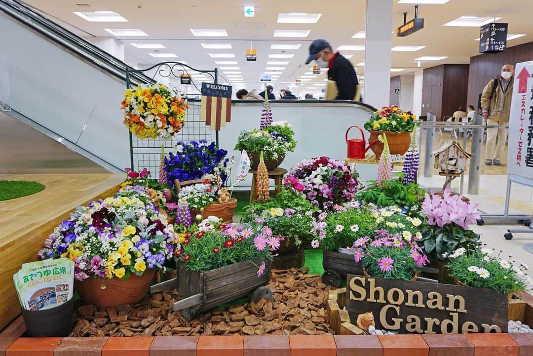 平塚市のグルメインスタ