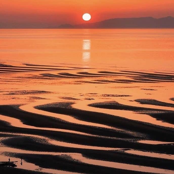 九州電力さんのインスタグラム写真 - (九州電力Instagram)「美しい砂の曲線に心奪われて😳⁣ .⁣ 潮が引いた海岸の砂地には美しい干潟が現れます🐚⁣ 時間帯によって色合いが変化する神秘的な風景です🌅⁣ .⁣ 📍御輿来海岸（おこしきかいがん）（熊本県宇土市）⁣ .⁣ ※写真は過去に撮影されたものです。⁣ 気兼ねなくお出かけできる日が来るまで、お届けする九州の風景が、皆さまの元気や癒しになれば幸いです🍀⁣ 九電グループでは、「あしたプロジェクト～あしたを、しんじて、たすけあおう～」を展開しています。詳しくは、HPをご覧ください✨⁣ .⁣ ⁣#九電 #kyuden #九州の灯り #九州ぐらむ #広がり同盟 #九州旅行 #九州 #九州愛 #kyushu #熊本 #kumamoto #宇土市 #宇土 #うと #御輿来海岸 #おこしき海岸 #干潟 #綺麗な海 #きれいな海 #海が好きだ #海岸沿い #海岸線 #波打ち際 #海の町 #眺め最高 #絶景スポット #日本の絶景 #景色最高 #きれいな景色 #あしたプロジェクト」2月16日 17時01分 - kyuden_official