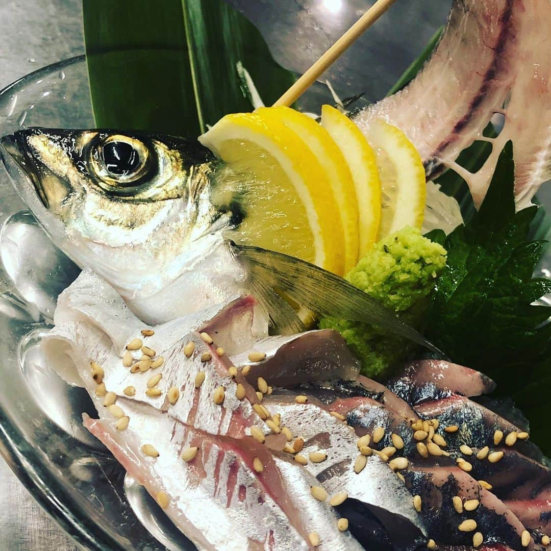 とろ函　守山店のインスタグラム：「生簀アジです！！ 生簀からそのまま捌いてますので新鮮ですよ🐟 本日こちらの投稿画面表示でアジの姿造り半額！！ #とろ函 #とろ函守山店 #とろ函堅田店 #とろ函膳所店 #とろ函ハイボール #とろ函イチオシ #とろ函インスタ #とろ函名物 #とろ函おすすめ #生簀料理 #生簀 #生簀のある店 #炉端焼き #海鮮丼 #海鮮丼ランチ」