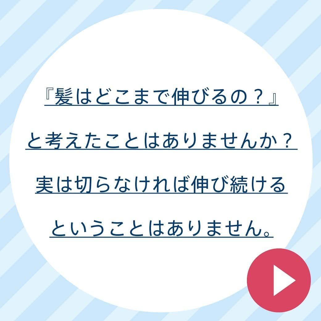 【公式】AGAスキンクリニックさんのインスタグラム写真 - (【公式】AGAスキンクリニックInstagram)「『髪はどこまで伸び続ける？』  街で見かけるロングヘアの女性。 「ここまで伸ばすのにどれくらいかかるんだろう？」 と疑問を感じたことはありませんか？  髪には生える・伸びる・抜けるという過程があり、これをヘアサイクルと呼びます。  一体、髪はどのくらいまで伸び続けることができるのでしょうか？  スワイプでご確認ください👨🏻‍⚕️  #AGAスキンクリニック#雑学#今日の雑学#雑学王#豆知識#都市伝説#AGA#男性型脱毛症#髪型#ロングヘア#ヘアスタイル」2月16日 17時10分 - aga_clinic