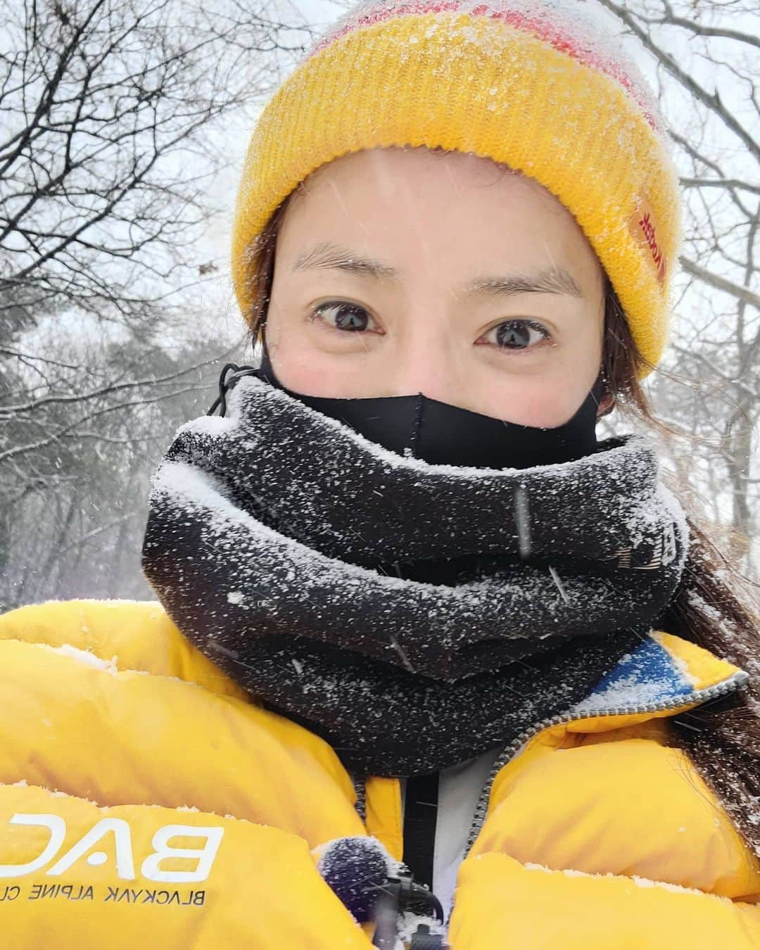 イ・シヨンさんのインスタグラム写真 - (イ・シヨンInstagram)「❄ 가면 갈수록 산이 점점더 좋아진다. 오늘 강화도 #마니산 갑자기 눈이 내려서..또 너무너무 예뻤던 산행길😊 담에 날 좋을때 다시 가서 그땐 정상에서 멋진 서해바다와 예쁜섬들을 한눈에 볼수있길🙏🤍🌅 #오늘이 #마지막눈인건가❄」2月16日 17時22分 - leesiyoung38