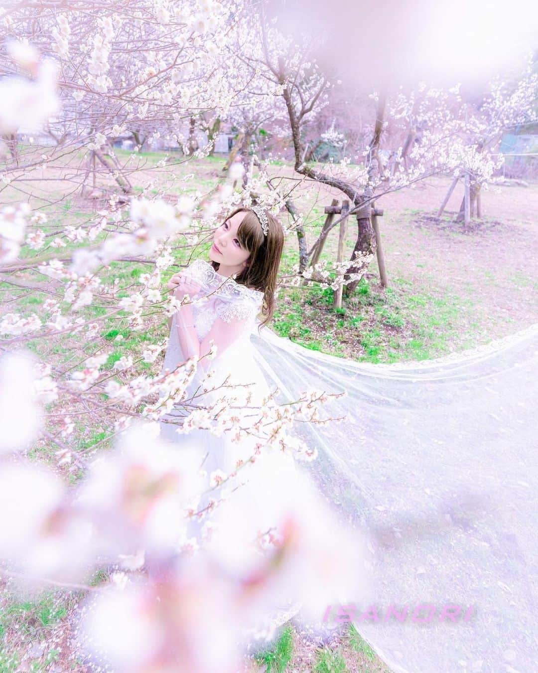 Mikaさんのインスタグラム写真 - (MikaInstagram)「Spring fairy🌸  ・ ・ ・ photo by @isanori.m 📸 model @mikarin_portrait  ・ ・ ・ Pasha認定作品展Vol.3に出展します✨ #美花展 ありがとうございました💐 ・ ・ follow me💋  #被写体モデル #ソロウェディング #カメラ女子 #春の花 #キリトリセカイ #ポートレートセレクション #ポートレート撮影 #被写体依頼受付中 #スクリーンに恋して #カメラマンさんと繋がりたい #被写体なります #ポートレートしま専科 #写真を止めるな #i_c_part #portrait #japanesegirl #asiangirl #love_camera_club #asianbeauty #portraits_dream #good_portraits_world #super_portrait_channel #pocket_people #lovers_nippon_portrait #excellent_portraits #top_portrait_photo #pasha_magazine #splus_cameraclub #tokyocameraclub」2月16日 17時36分 - mika_portrait