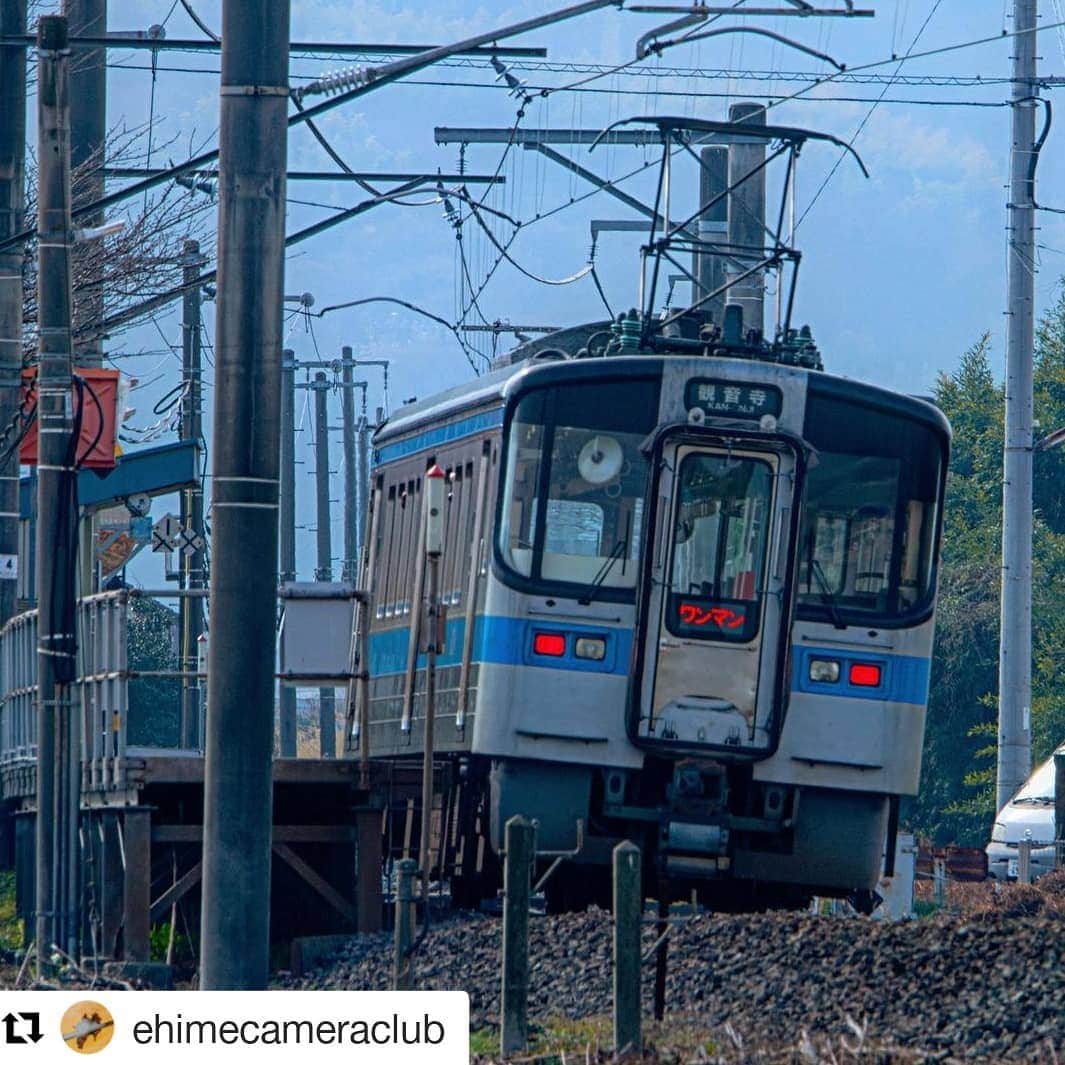 西条市さんのインスタグラム写真 - (西条市Instagram)「よく見るワンマン電車🚋 電車の中から見ると、いつもとは違う景色が広がってくる。 窓枠もフレームのよう👀📷️✨  Repost @ehimecameraclub (@get_repost) ・・・ わんまん ﻿ location:愛媛県西条市  2021年2月  四国には伊予灘ものがたりや千年ものがたり、時代の夜明けのものがたりなど、いろんな観光列車がありますが、ワンマン列車に乗ってののんびり旅も楽しいですよ😁  青春18切符で旅したことあります😚  #愛媛県  #西条市  #lovesaijo  #jr四国観光  #jr四国風景  #jr四国  #ワンマン列車  #鉄道  #鉄道のある風景  #電車 #traingallery_ig  #trainphotography  #lowangle_shooter  #japan_of_insta  #bestjapanpics  #lovers_nippon  #jalan_travel  #japantravelphoto  #photo_travelers  #jalan_travel  #daily_photo_jpn  #tokyocameraclub  #otonatabi_japan  #広がり同盟  #ファインダー越しの私の世界  #写真好きな人と繋がりたい  #ダレカニミセタイケシキ  #鉄道好きな人と繋がりたい  #何気ない瞬間を残したい  #light_nikon」2月16日 18時17分 - lovesaijo