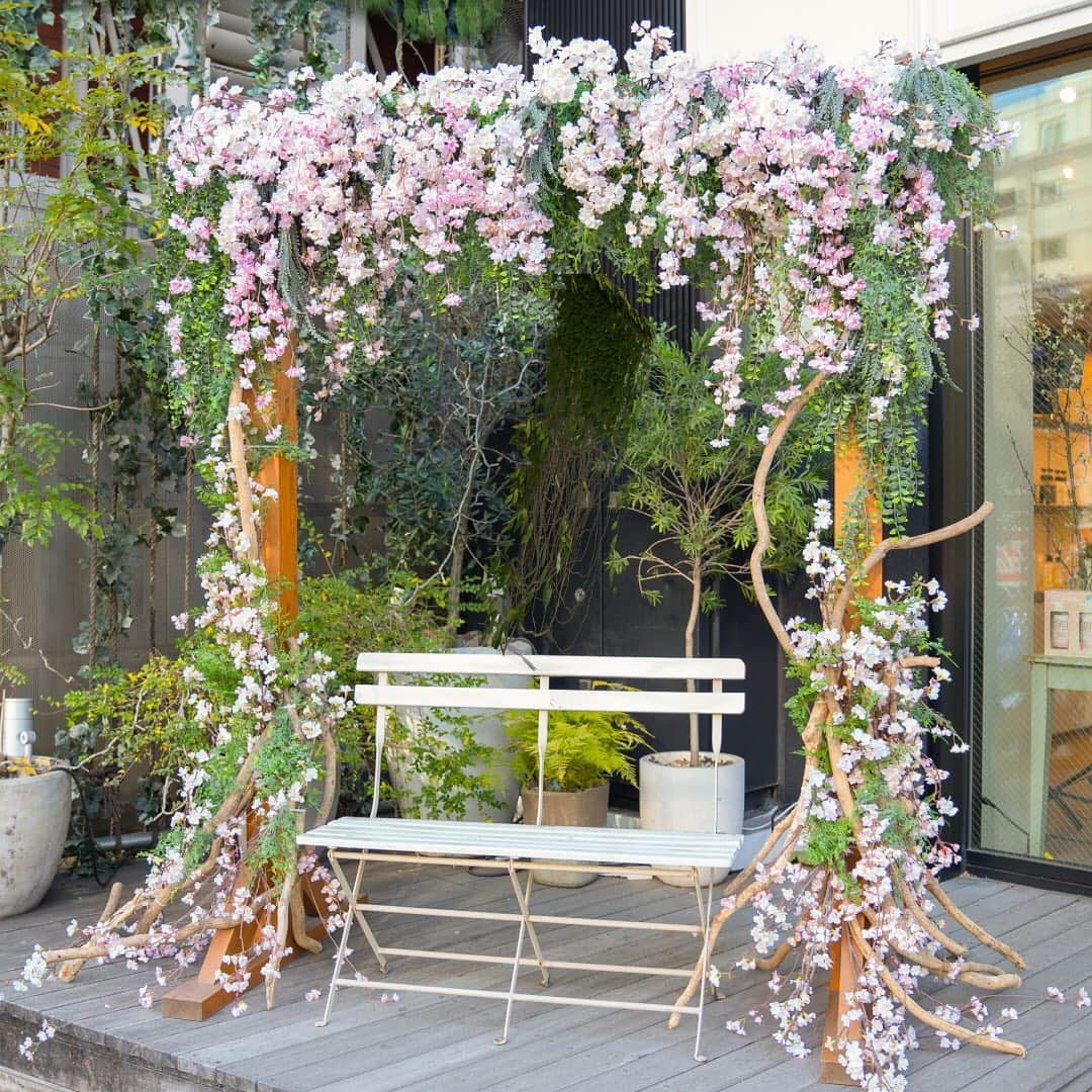 BOTANIST Chineseさんのインスタグラム写真 - (BOTANIST ChineseInstagram)「【春之夢】  BOTANIST Tokyo（@botanist_tokyo）春天提前到來了🌸  店裡也有滿滿的櫻花裝飾讓您感受到春天的氣氛🛁✨ ⠀⠀  店舖一樓有販賣Botanical Spring系列, 二樓的咖啡廳在提供春天限定的菜單, 都已經準備就緒, 等您來go!  如果來附近的話, 歡迎來看看♪  ⠀⠀ 稍稍提前一步, 迎接春天的來臨! 櫻花甜美香氣包裹著您, 這是特別的春天的開始🌸  ⠀⠀ ※若到店當日感覺身體不適, 建議您將安全放在首位,  歸家休息, 待身體康復後, 我們將竭誠為您服務 ⠀⠀ 🛀@botanist_official 🗼@botanist_tokyo 🌍@botanist_global」2月16日 19時24分 - botanist_chinese