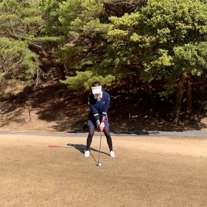 藤田光里のグルメインスタ