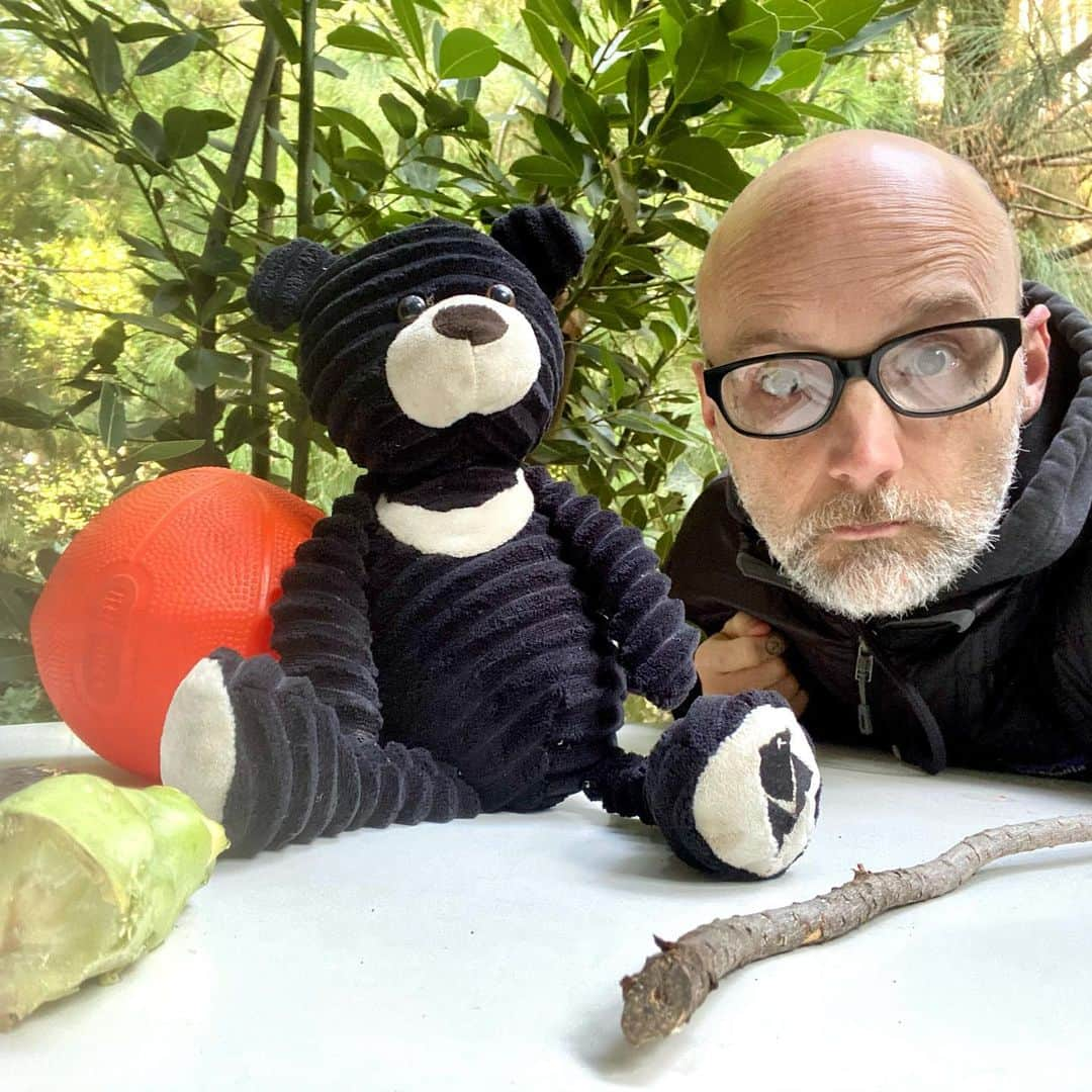 モービーさんのインスタグラム写真 - (モービーInstagram)「One of my daily tasks is collecting bagels favorite things. Pictured here: her bear, her favorite stick, her favorite ball, and her favorite thing in the world: a broccoli stem. I happily serve at the pleasure of the queen @candicebergenbagel」2月17日 1時10分 - moby