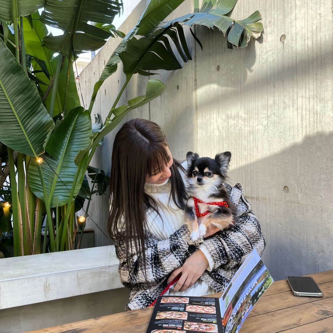 のインスタグラム：「やっほい＼(^o^)／ きようはお天気ピカピカでしたぁ☝️😆 おひさまに当たると元気チャージした気分になーる🥳✨  びーたむのよそよそしいお顔に注目です😌❤️」