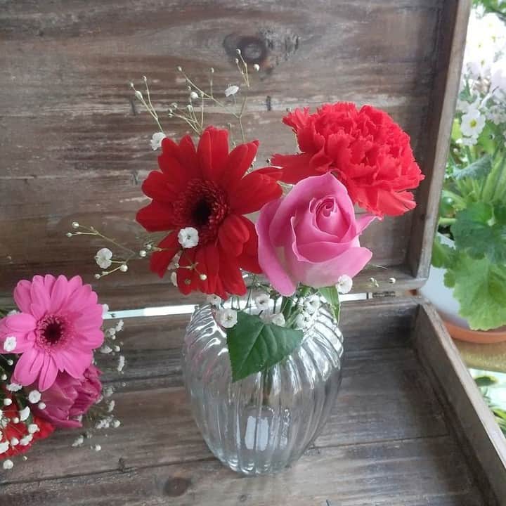 Bloomee LIFEさんのインスタグラム写真 - (Bloomee LIFEInstagram)「赤とピンクの可愛いブーケ💐  - - - - - - - - - - - - - 🌼今回のお花🌼 ・ガーベラ ・バラ ・カーネーション ・カスミソウ  フルール・ド・アルル(@fleurdearles ) さんのアレンジ💐  赤とピンクの組み合わせが 華やかさの中にも可愛らしさいっぱいのブーケです🌹  濃いピンクの"バラ"の花言葉は 『可愛い人』『愛している』『感謝』です◎  鮮やかな赤を引き立てる "カスミソウ"も素敵ですね✨  - - - - - - - - - - - - -  【お花屋さん】 フルール・ド・アルル(@fleurdearles ) さん  【プラン】 レギュラープランのお花  ▶︎その他のプランは、プロフィールの 「ショップを見る」からご覧ください🌹→@bloomeelife  #bloomeelife#ブルーミーライフ#お花の定期便#プチブーケ#サブスク#花のある生活#花好きな人と繋がりたい#おうち時間#花部#花写真#花が好き#花を飾る#暮らしを楽しむ#日々の暮らし#丁寧な暮らし#日々#お花のある暮らし#素敵な休日#暮らしを整える#くらしのきほん#日々の暮らしを楽しむ#丁寧に暮らす#おうち時間#インテリアフラワー#ナチュラルインテリア#豊かな暮らし #はなすたぐらむ #花のある暮らし #花束」2月16日 20時00分 - bloomee