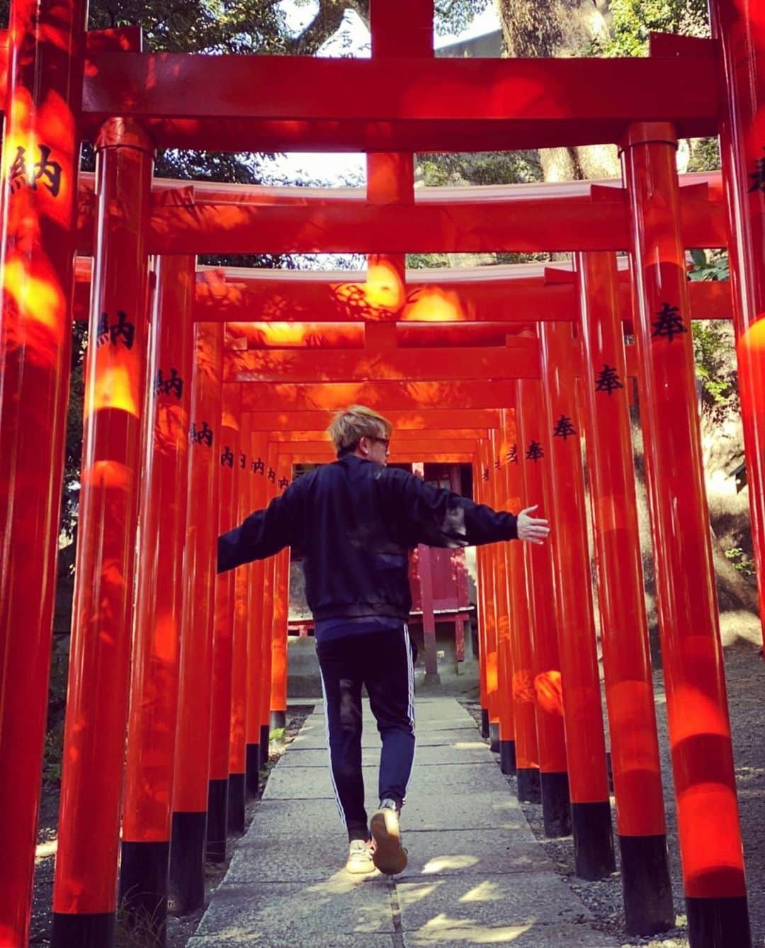 SHU-YAのインスタグラム：「気持ち暖かくなってきたかな。 . #神社 #お参り #晴天」