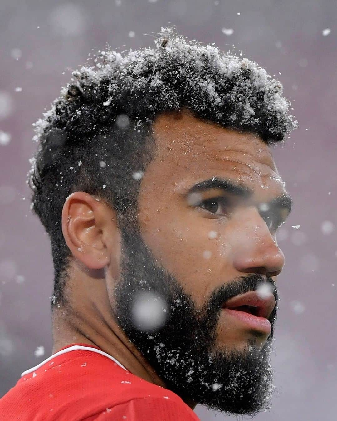 バイエルン・ミュンヘンさんのインスタグラム写真 - (バイエルン・ミュンヘンInstagram)「❄️📸❄️  #FCBDSC #MiaSanMia #FCBayern #WeiterImmerWeiter #packmas #Bundesliga」2月16日 20時32分 - fcbayern